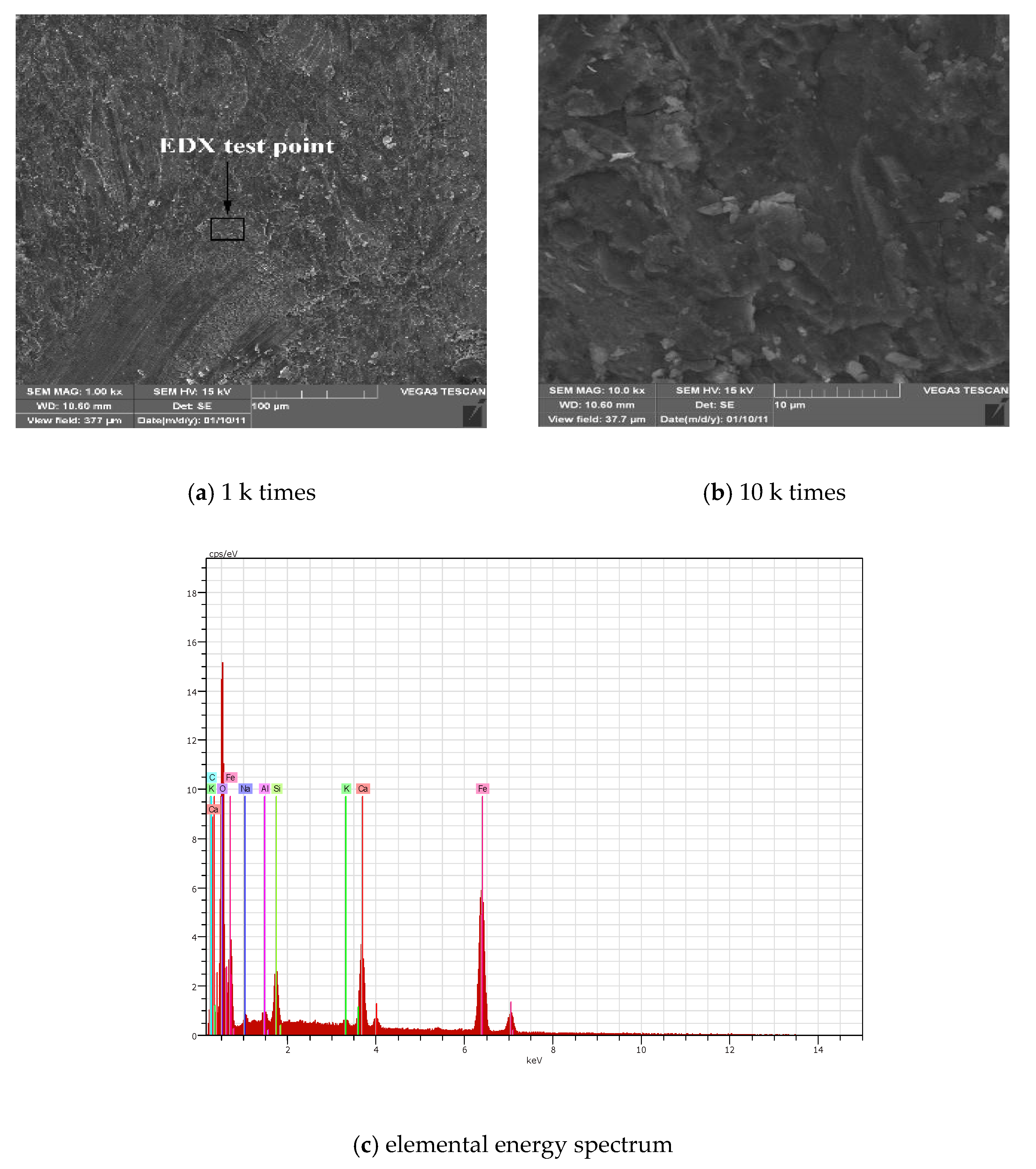 Coatings 11 00241 g004