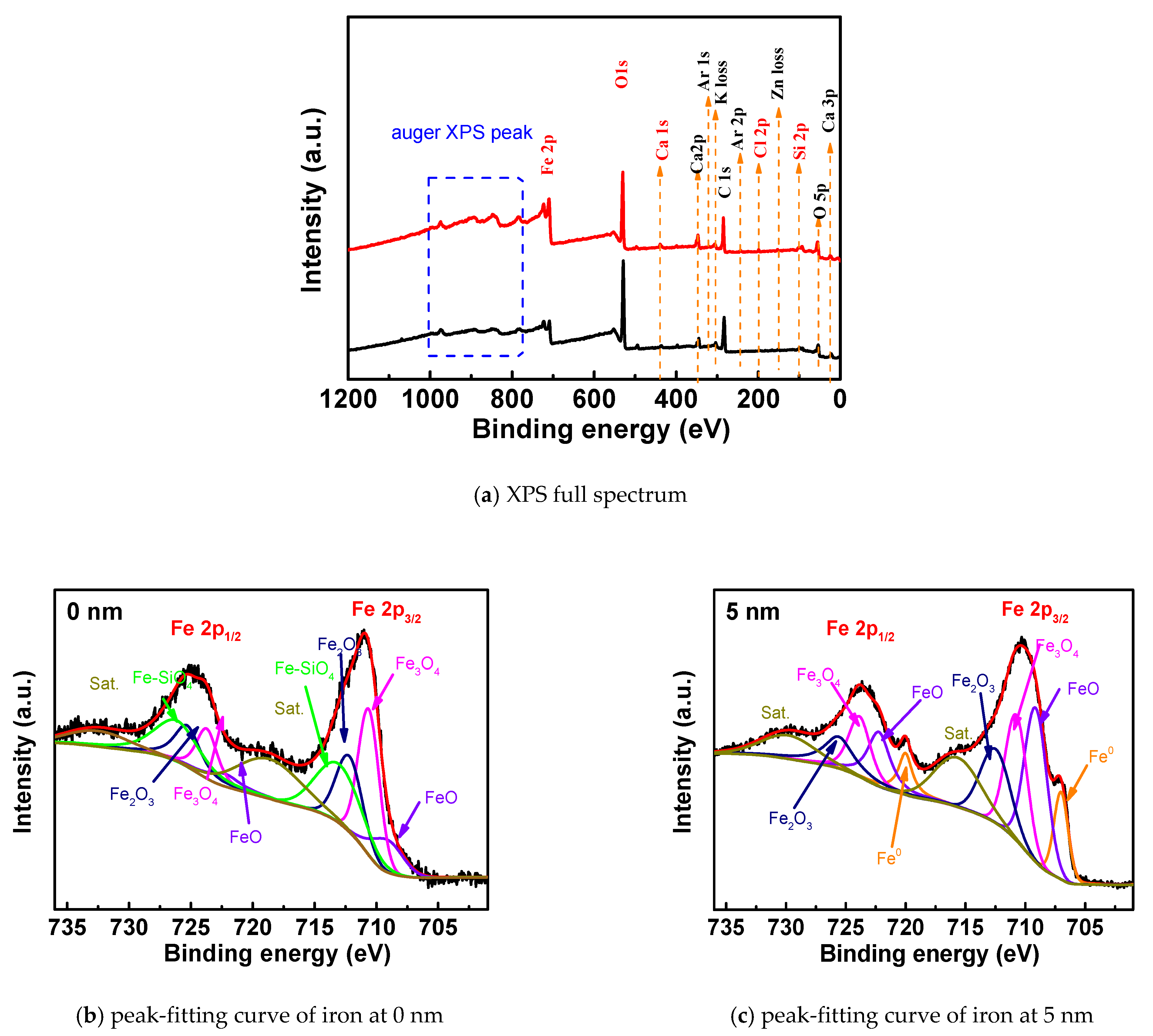 Coatings 11 00241 g007