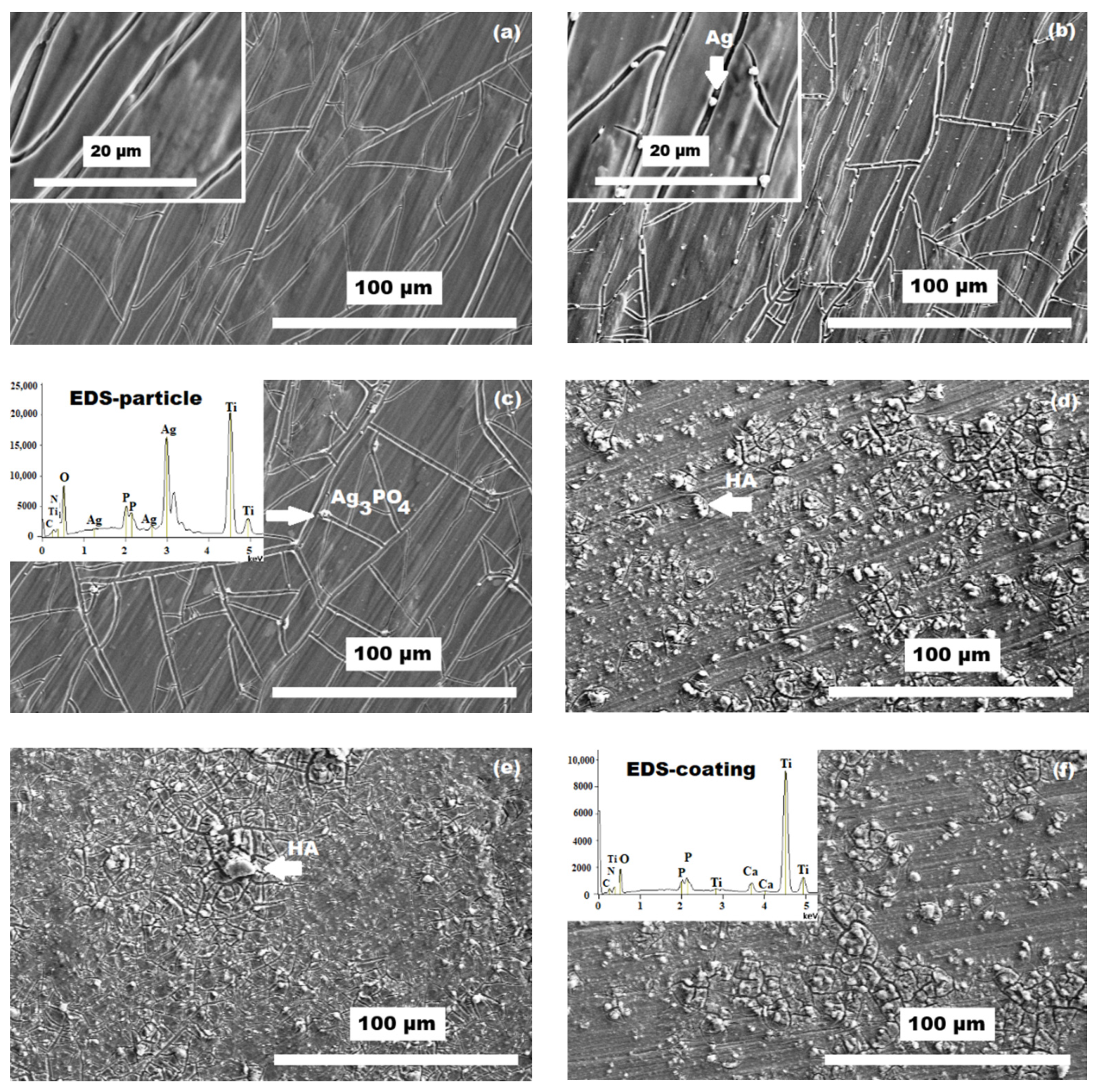 Coatings 11 00243 g002 Coatings 11 00243 g002