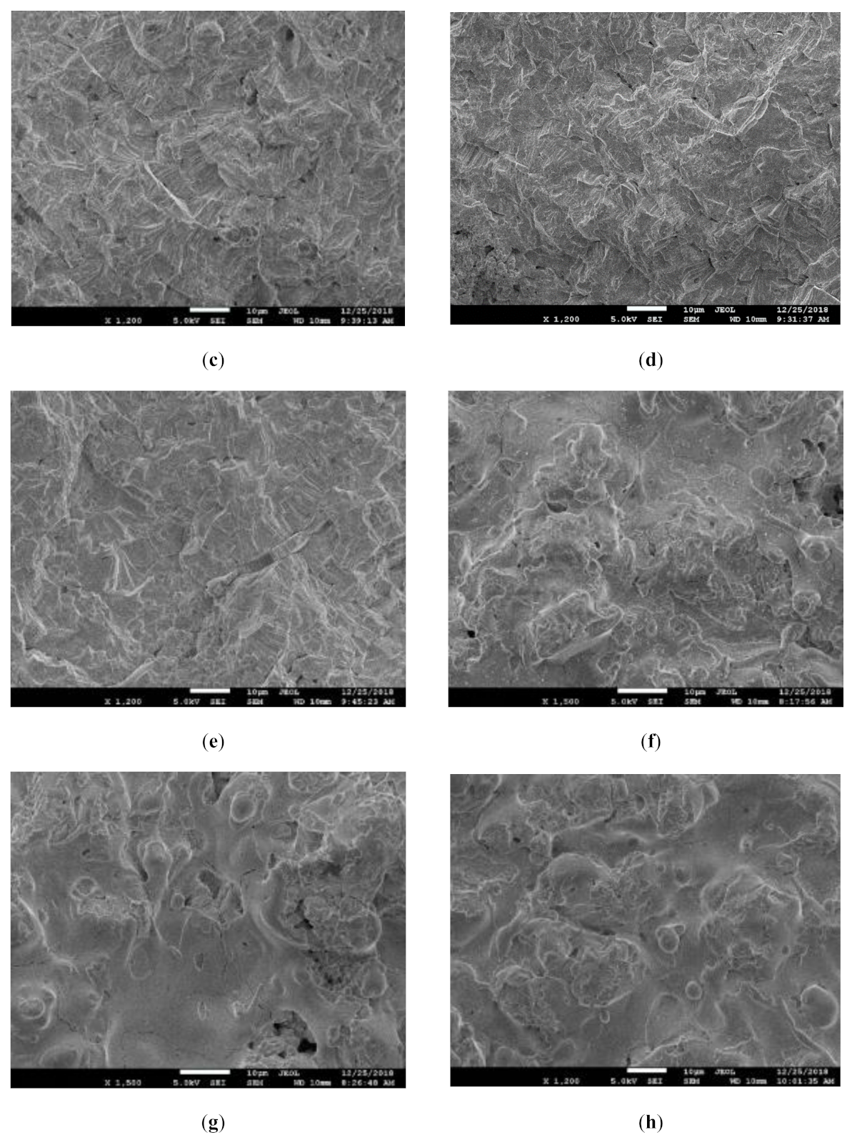 Coatings 11 00245 g007b Coatings 11 00245 g007b