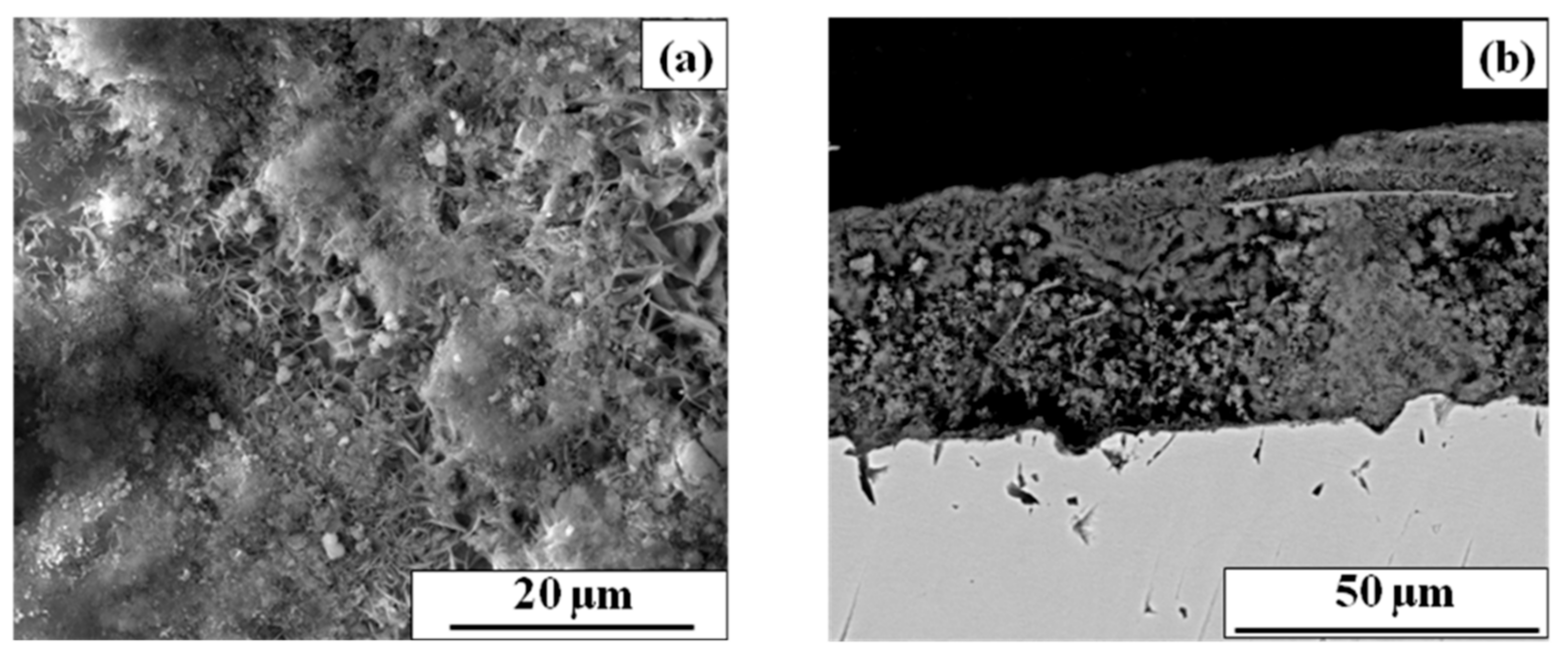 Coatings 11 00246 g003