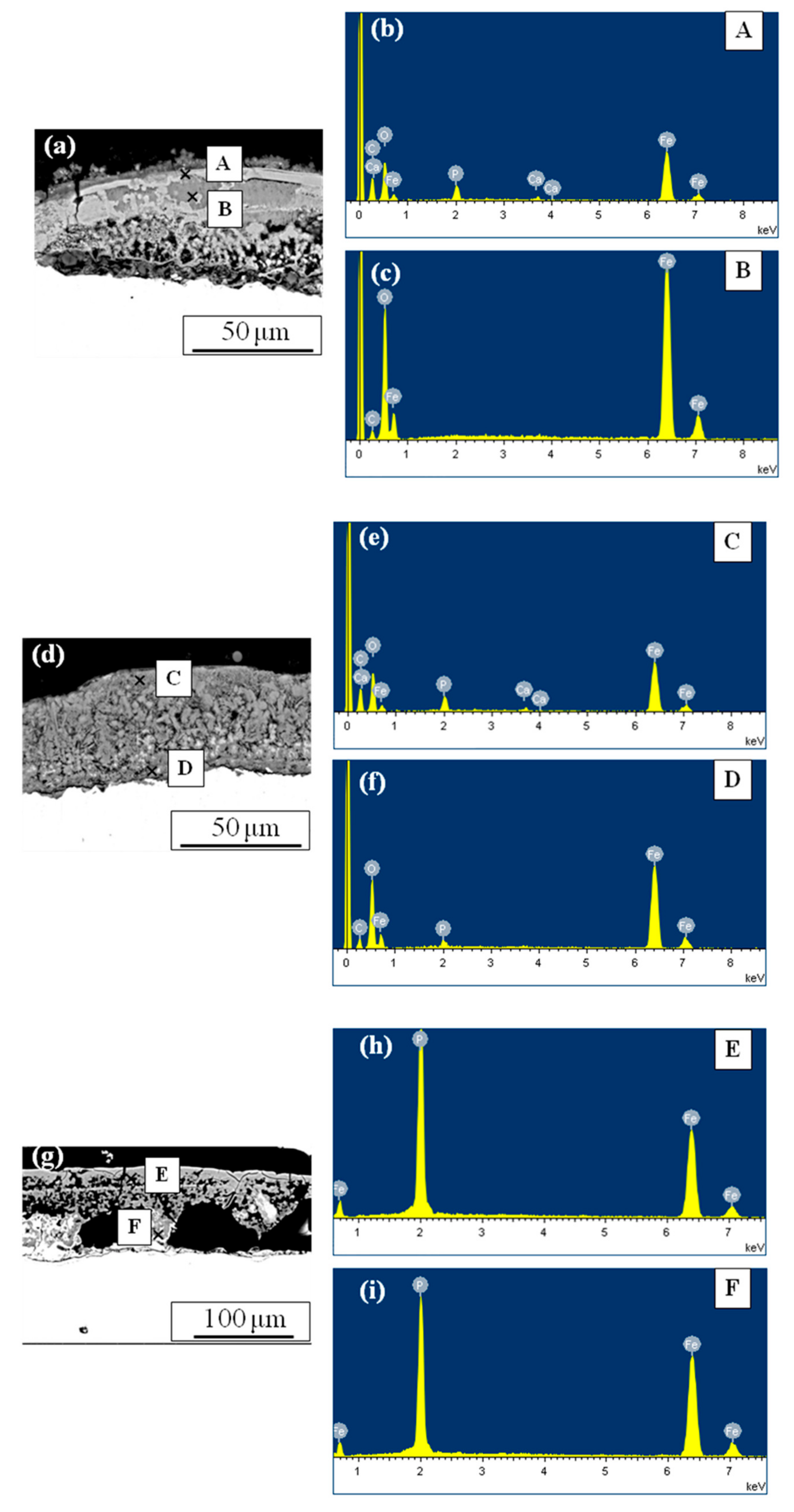Coatings 11 00246 g005