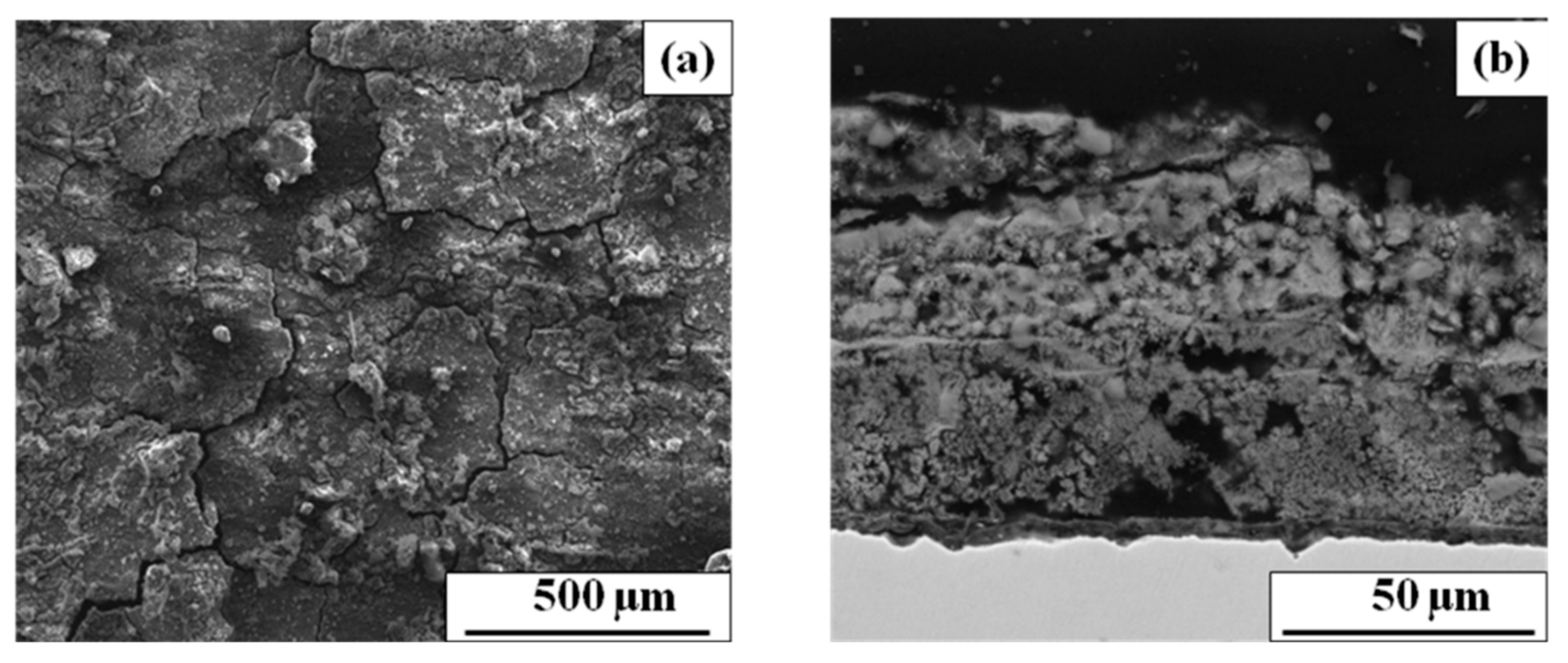 Coatings 11 00246 g010