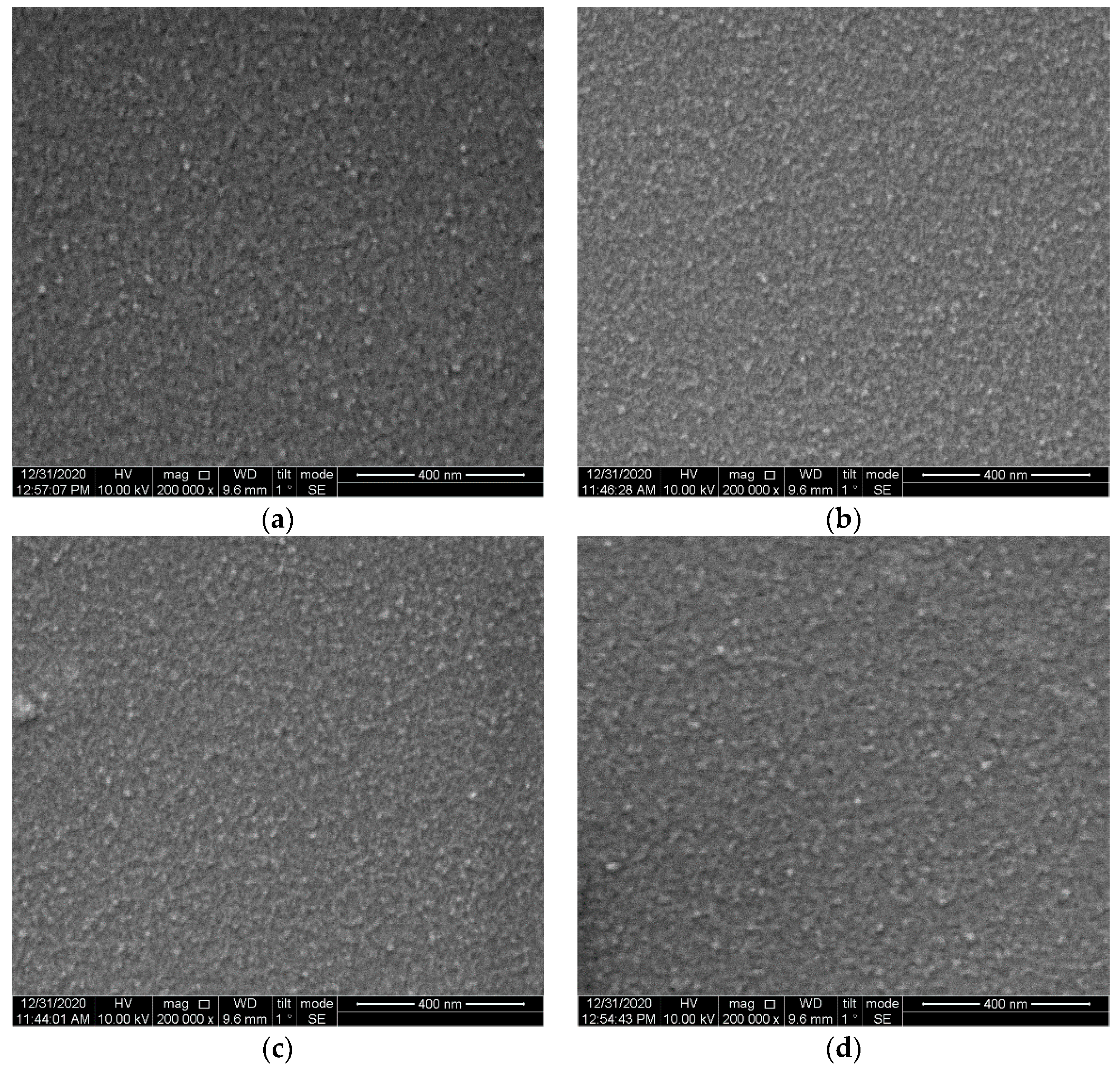 Coatings 11 00250 g007