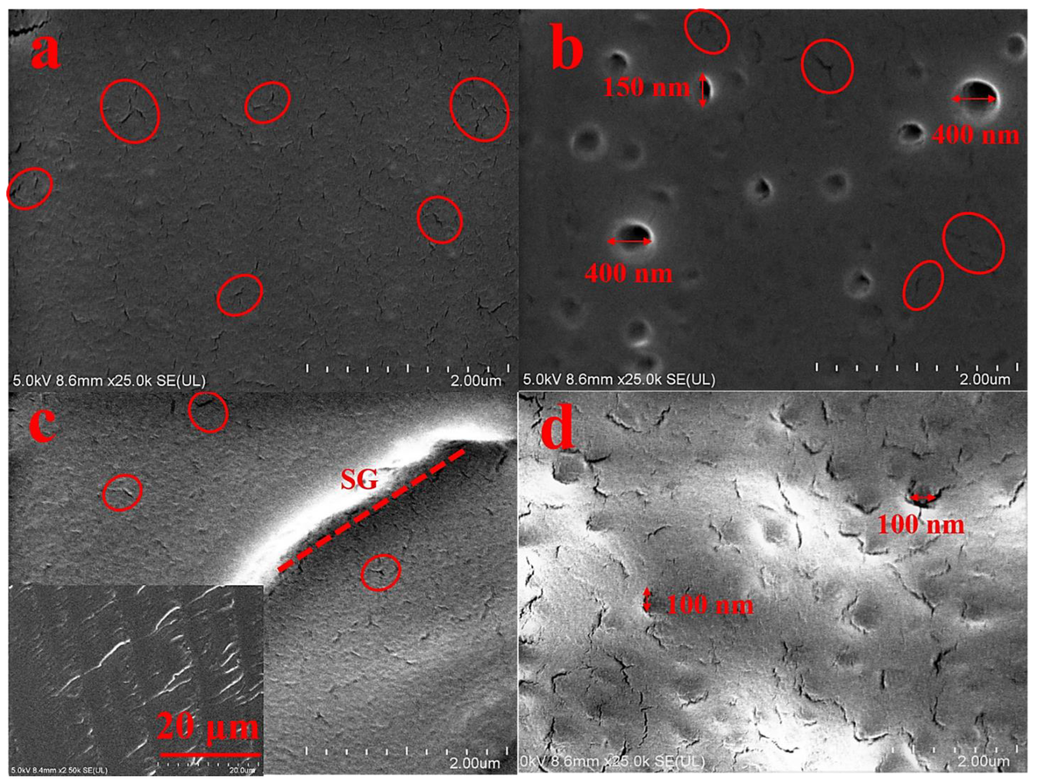 Coatings 11 00251 g007 Coatings 11 00251 g007