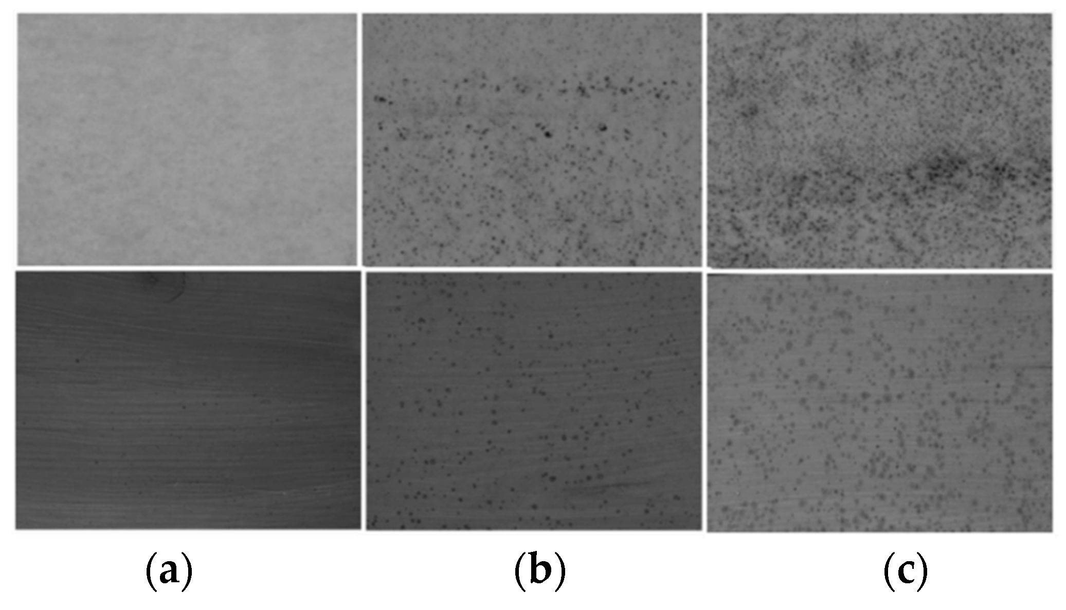 Coatings 11 00252 g002 Coatings 11 00252 g002