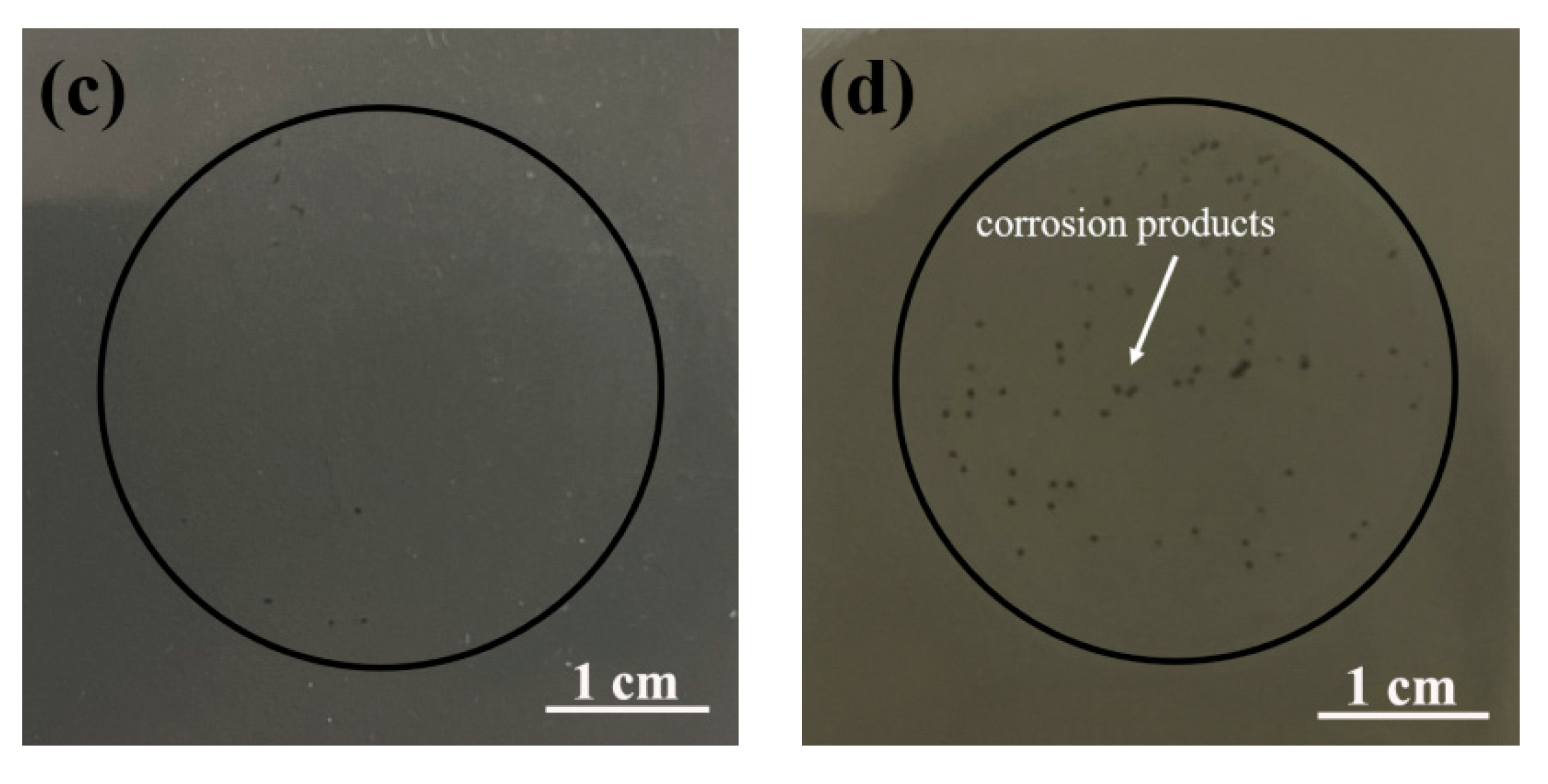 Coatings 11 00254 g008b