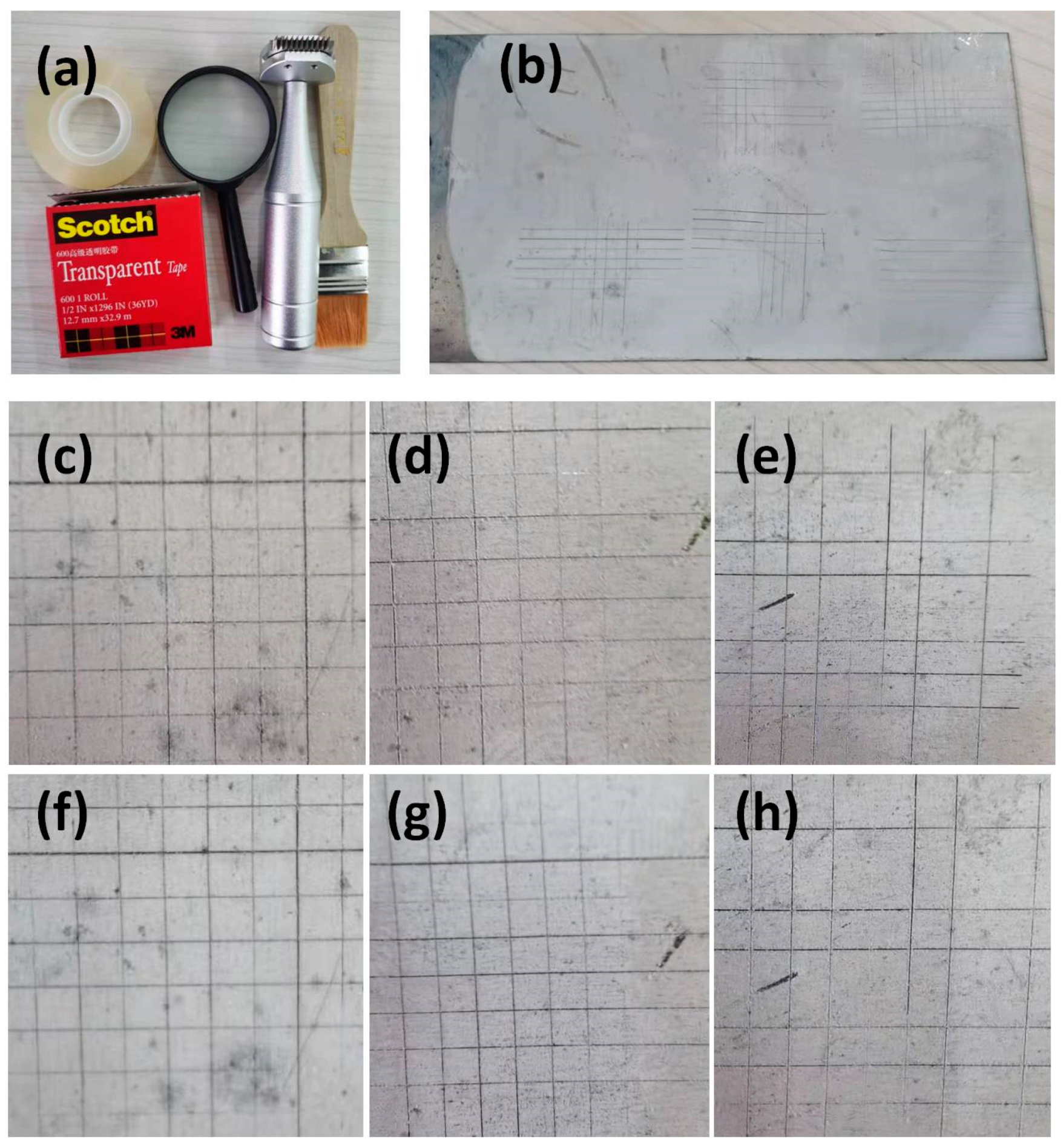 Coatings 11 00256 g006 Coatings 11 00256 g006