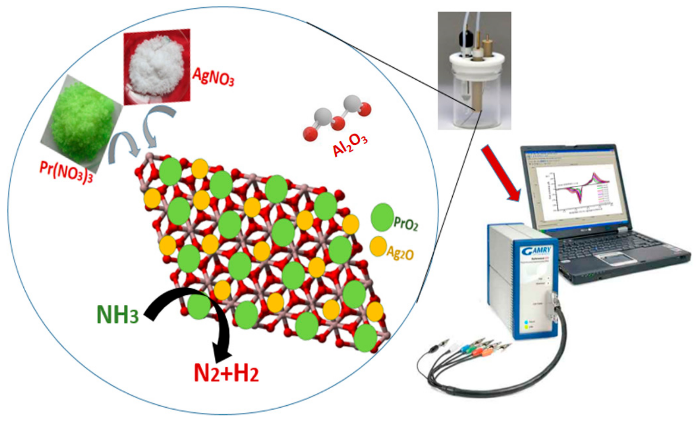 Coatings 11 00257 g001