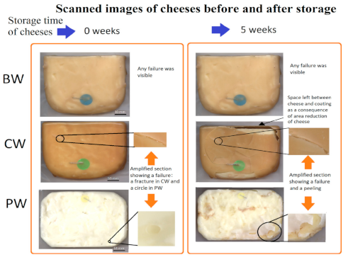 Cheese wax NATURAL (paraffine) - Serowar