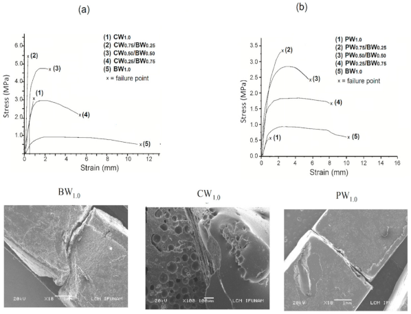Coatings 11 00261 g006