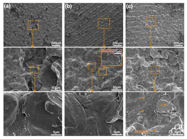 Coatings 11 00267 g006 Coatings 11 00267 g006