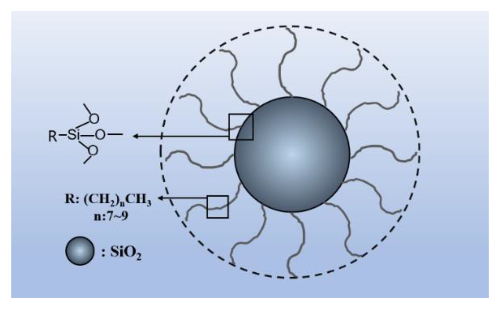 Coatings 11 00269 g001