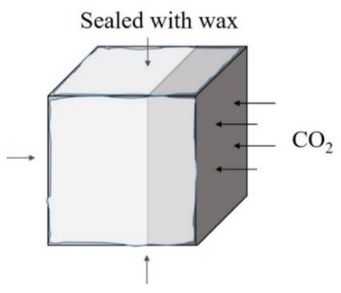 Coatings 11 00269 g003