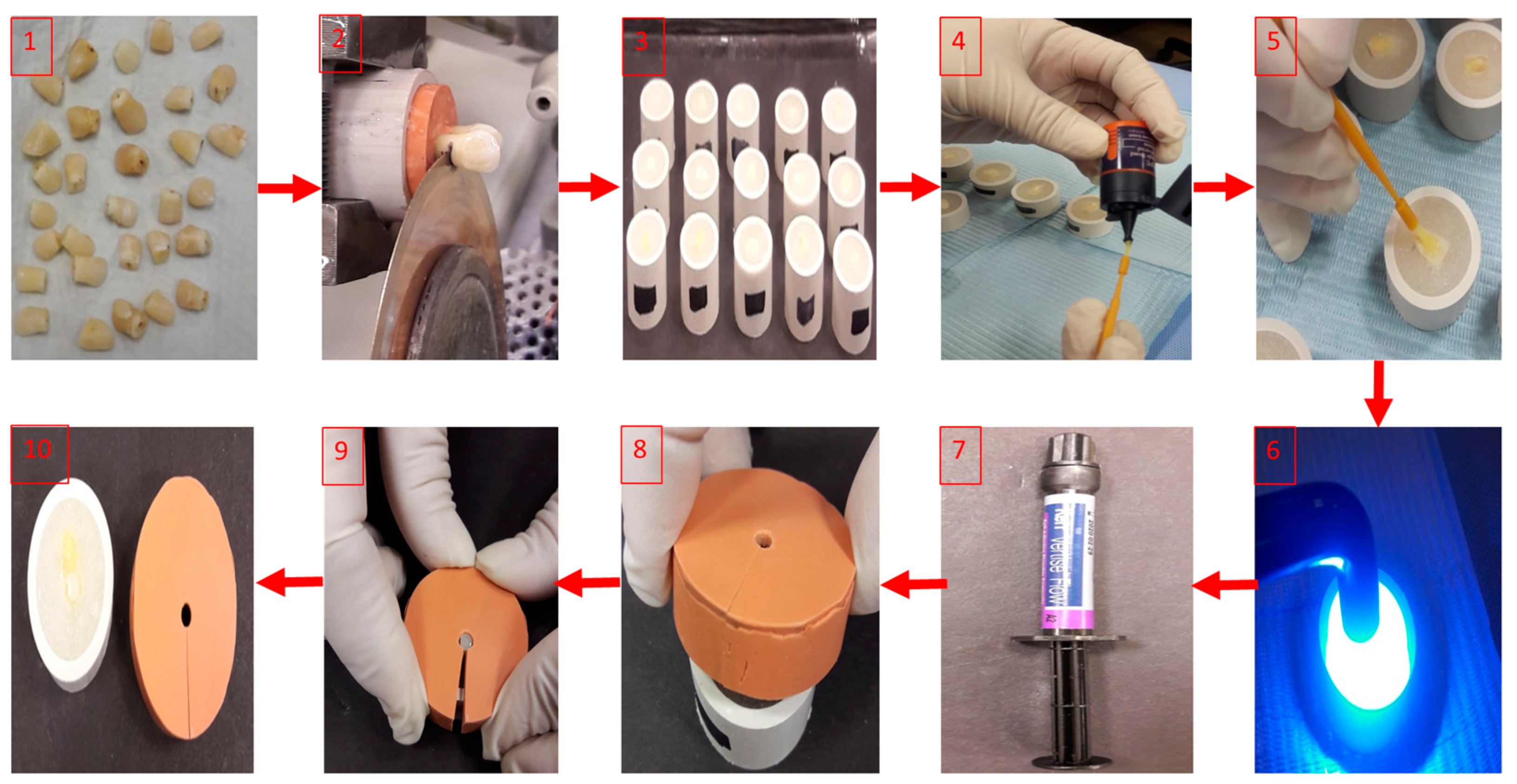 Coatings 11 00273 g001 Coatings 11 00273 g001