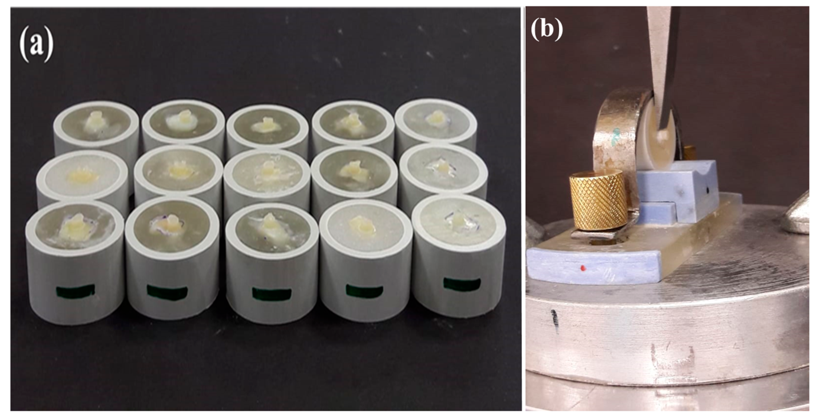 Coatings 11 00273 g002 Coatings 11 00273 g002