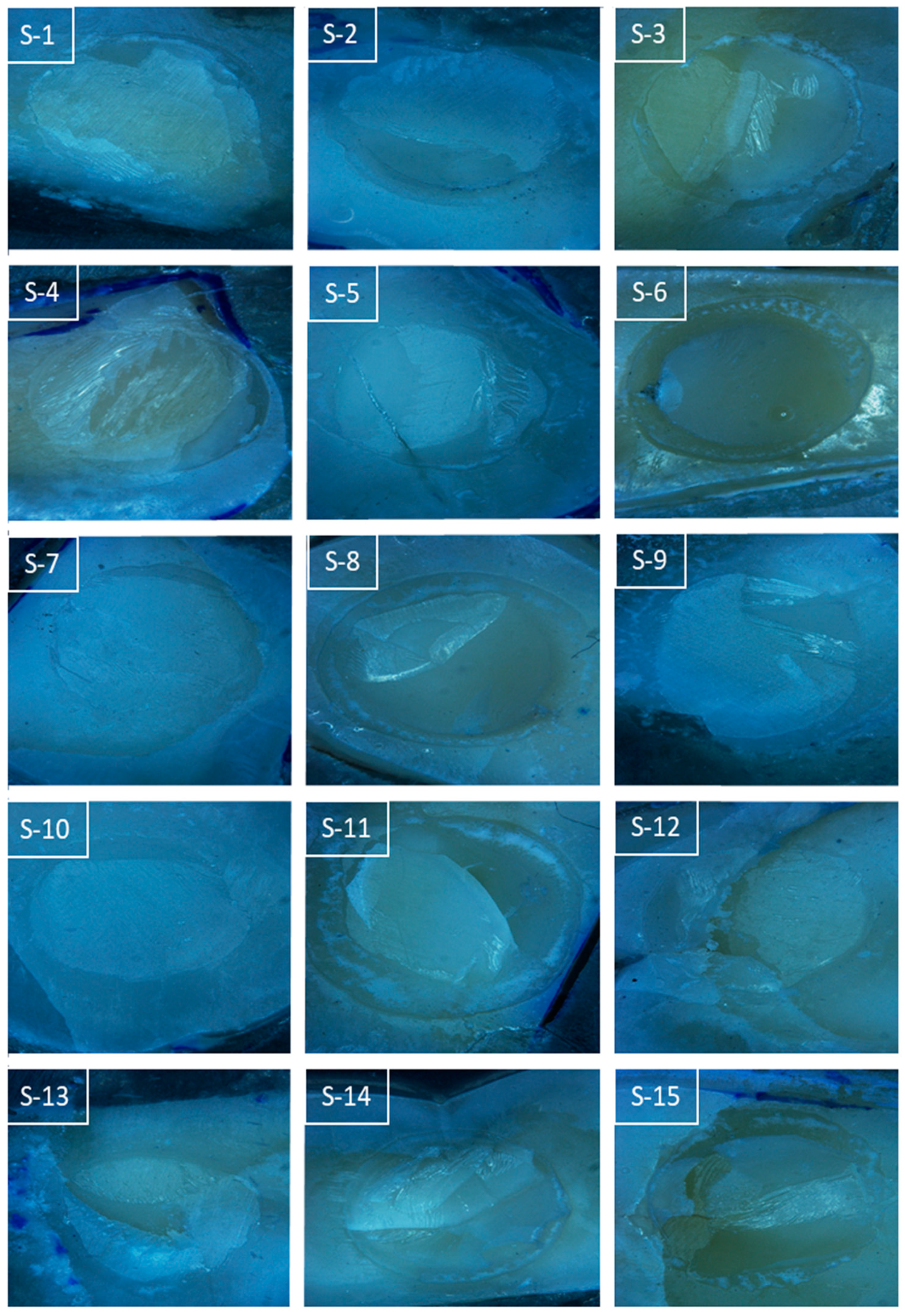 Coatings 11 00273 g005 Coatings 11 00273 g005