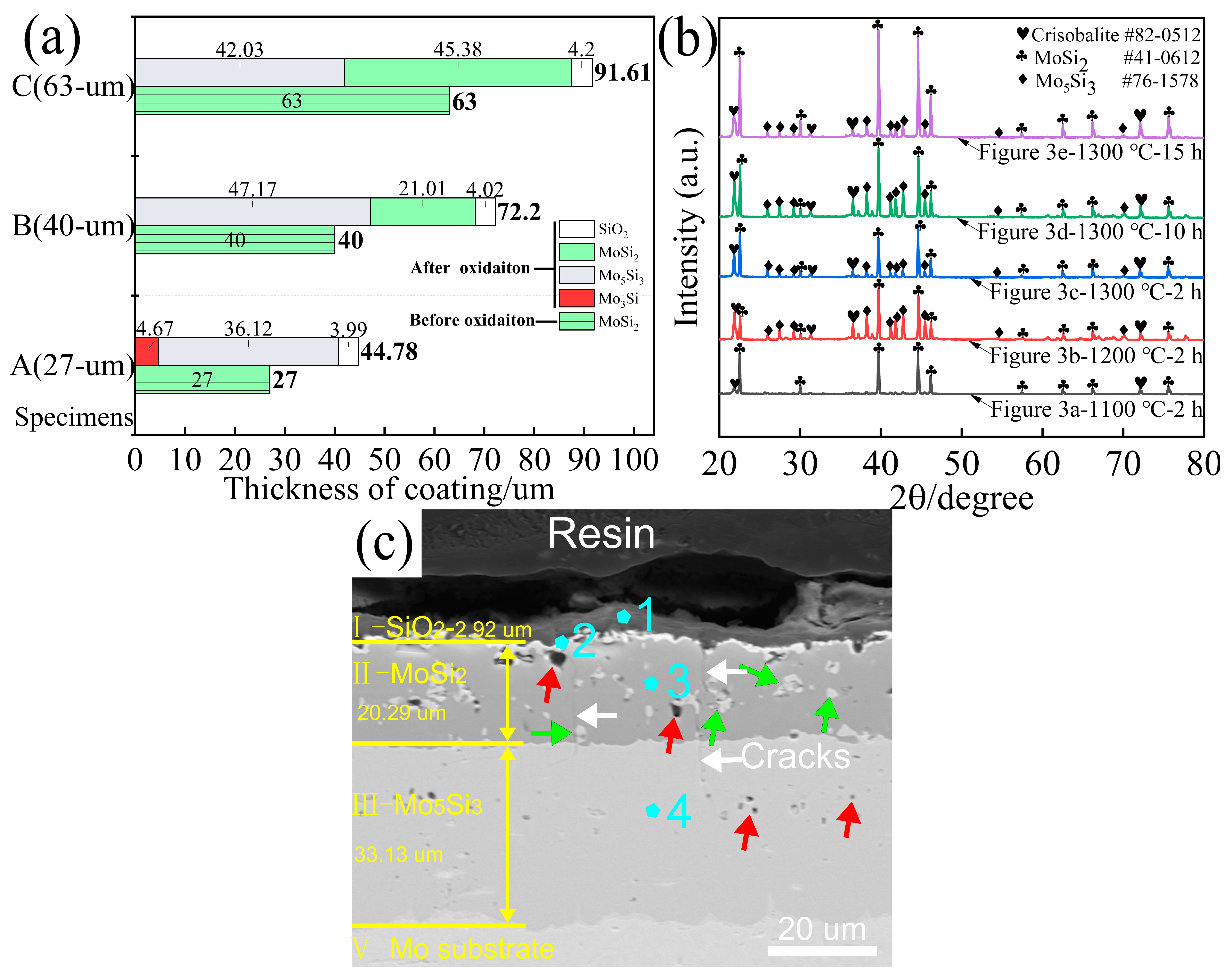 Coatings 11 00275 g001