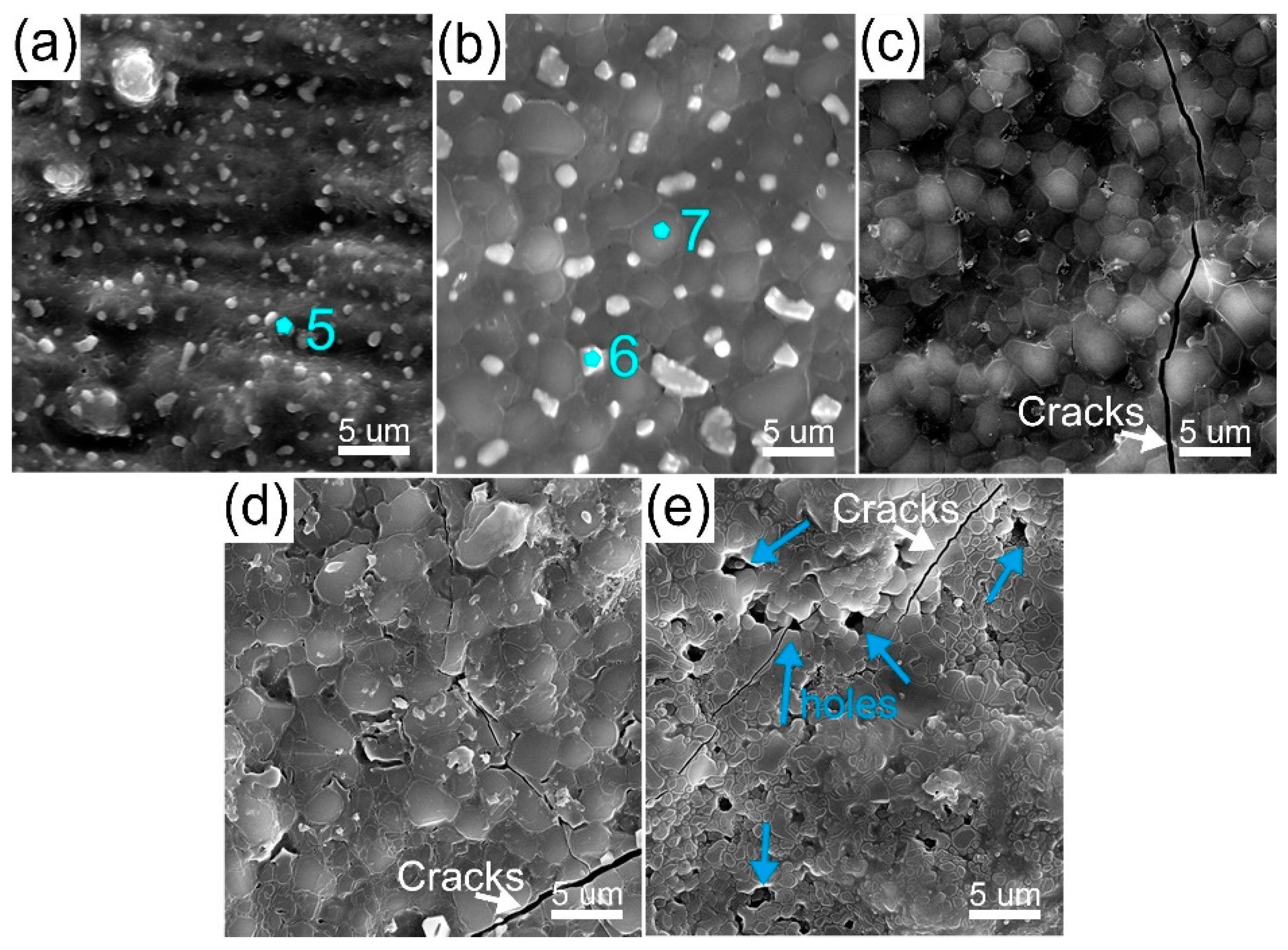Coatings 11 00275 g003