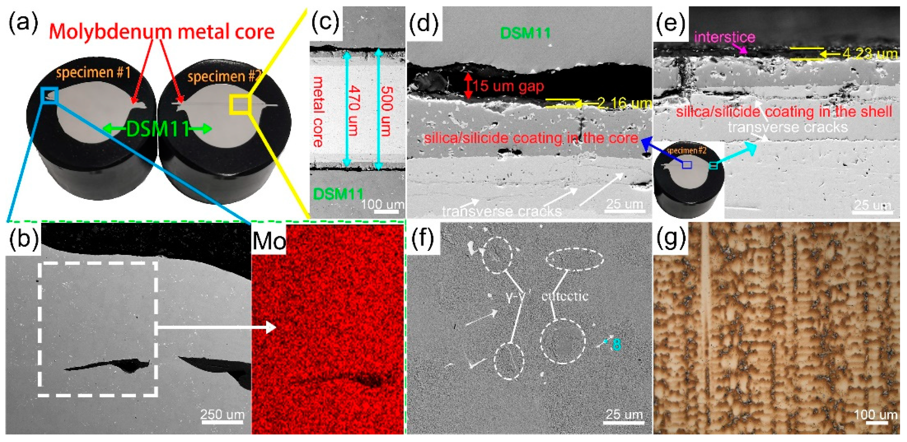 Coatings 11 00275 g004