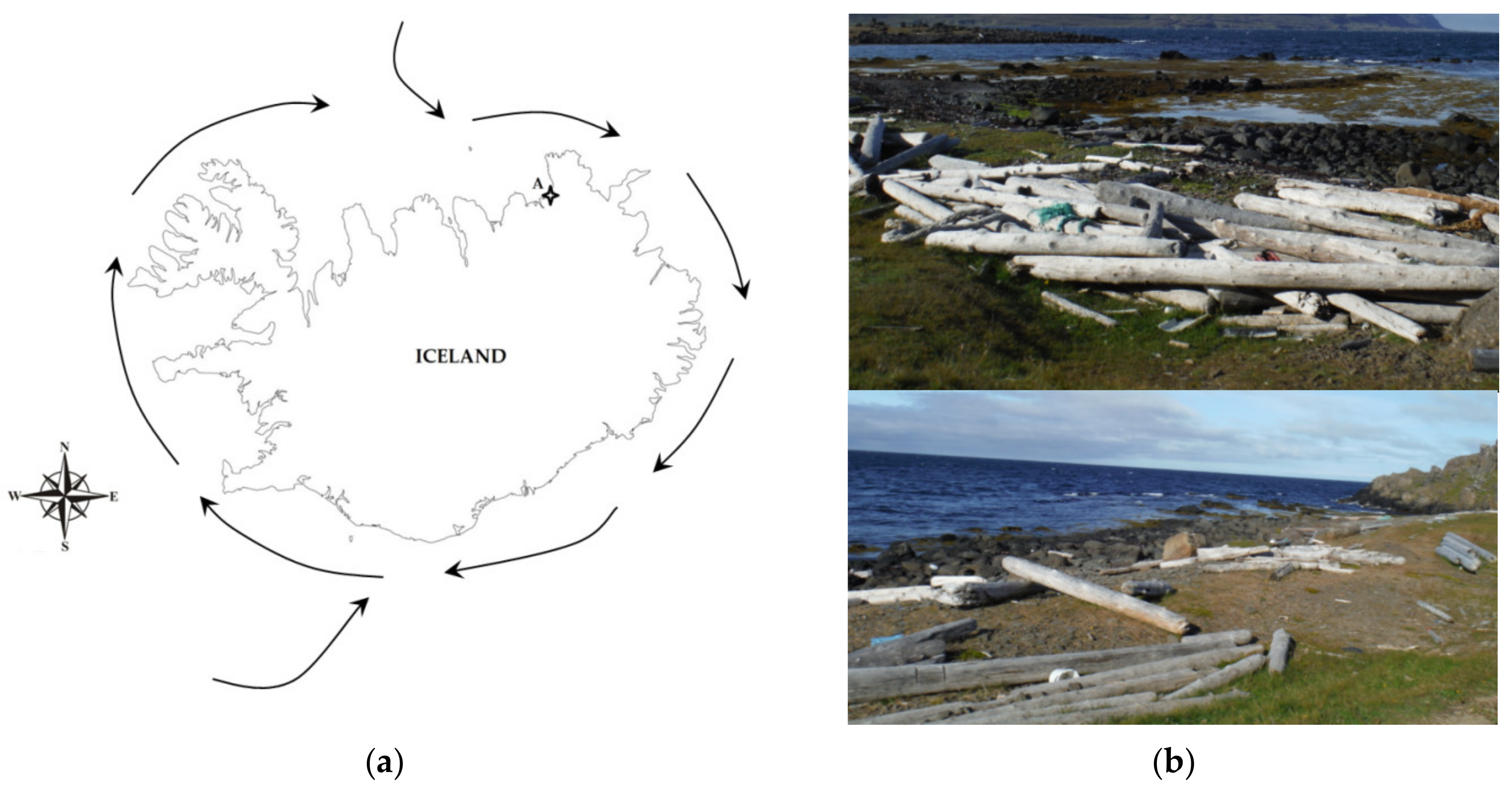 Coatings 11 00278 g001 Coatings 11 00278 g001