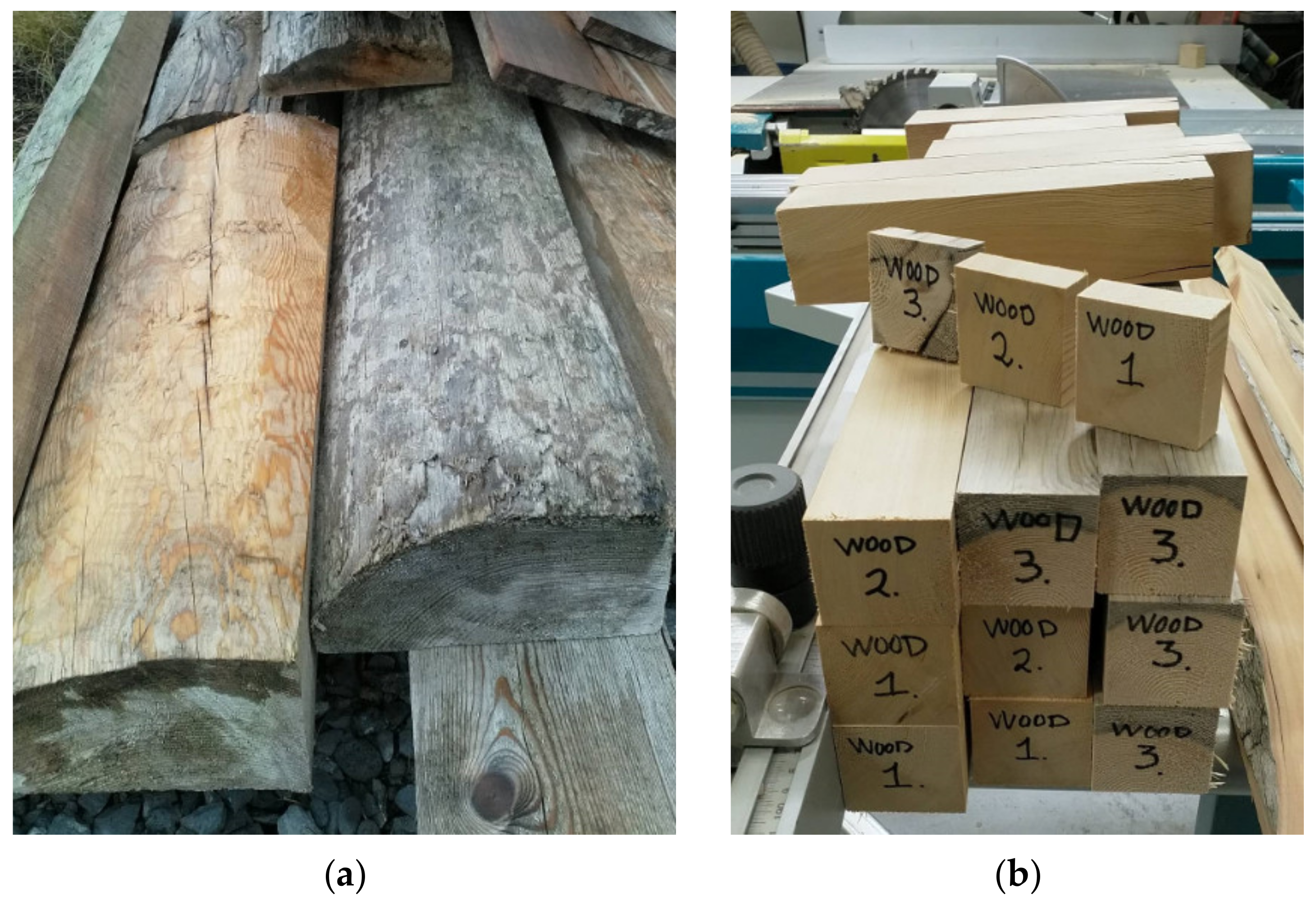 Coatings 11 00278 g002 Coatings 11 00278 g002
