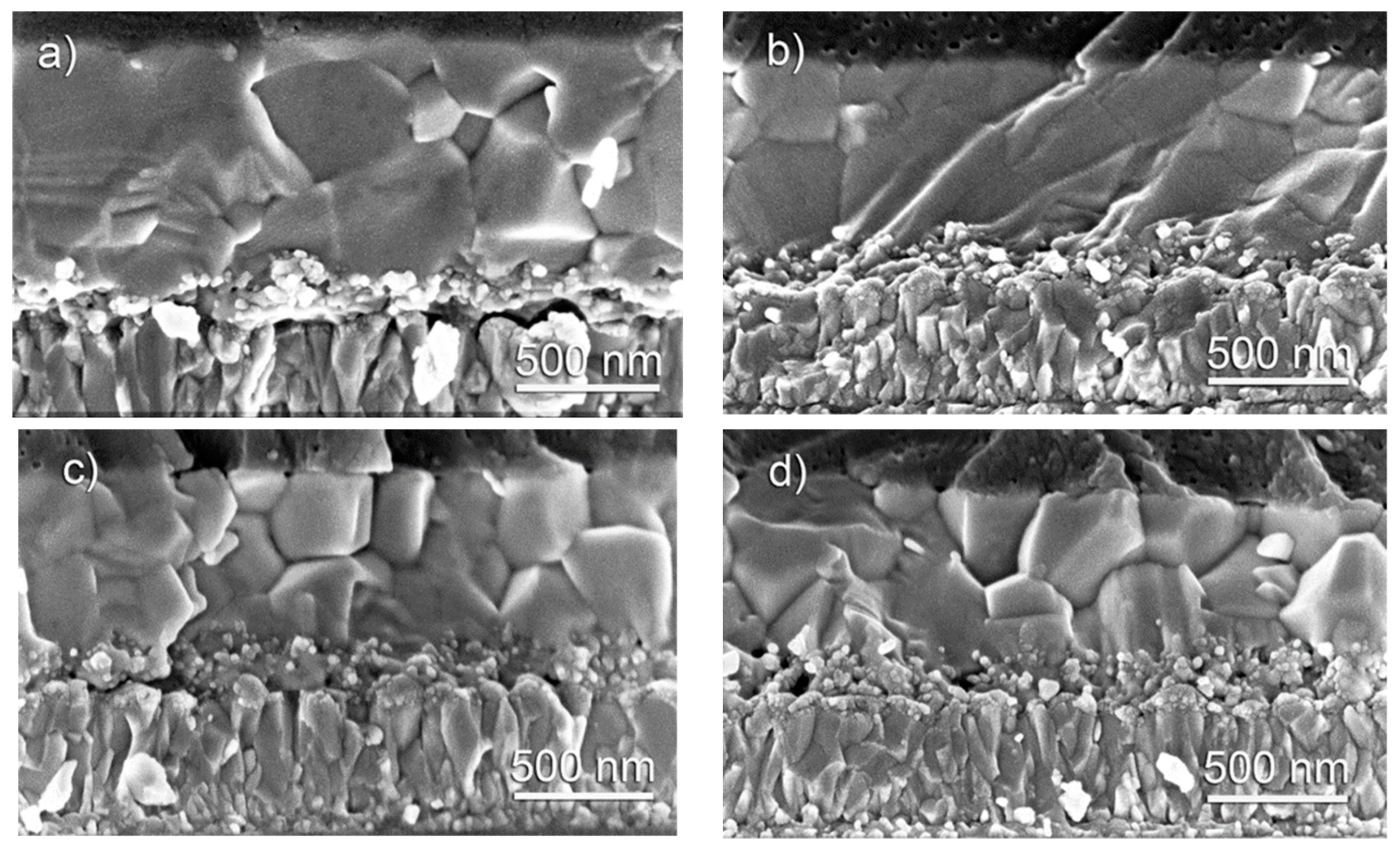 Coatings 11 00279 g004 Coatings 11 00279 g004