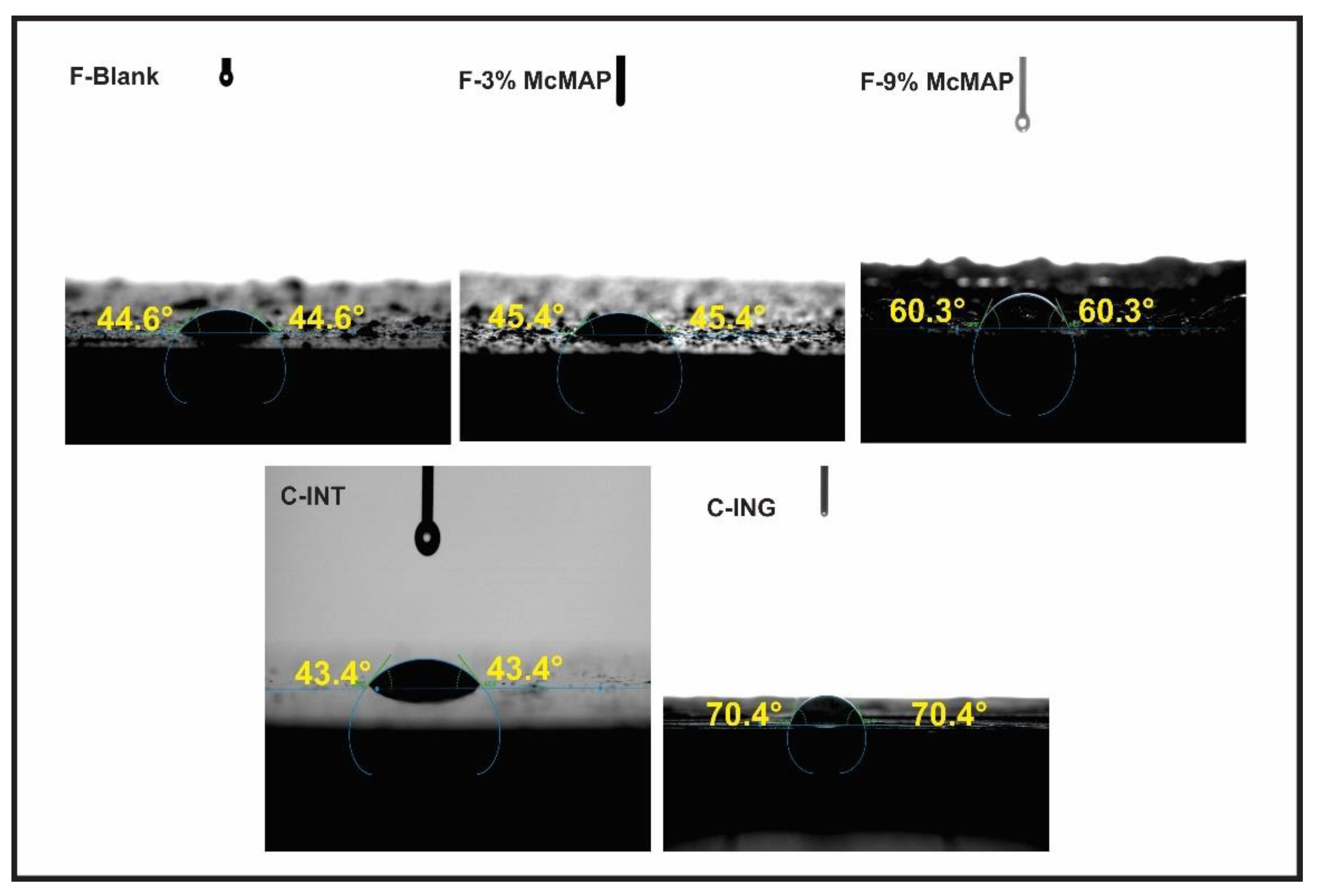 Coatings 11 00280 g005 550