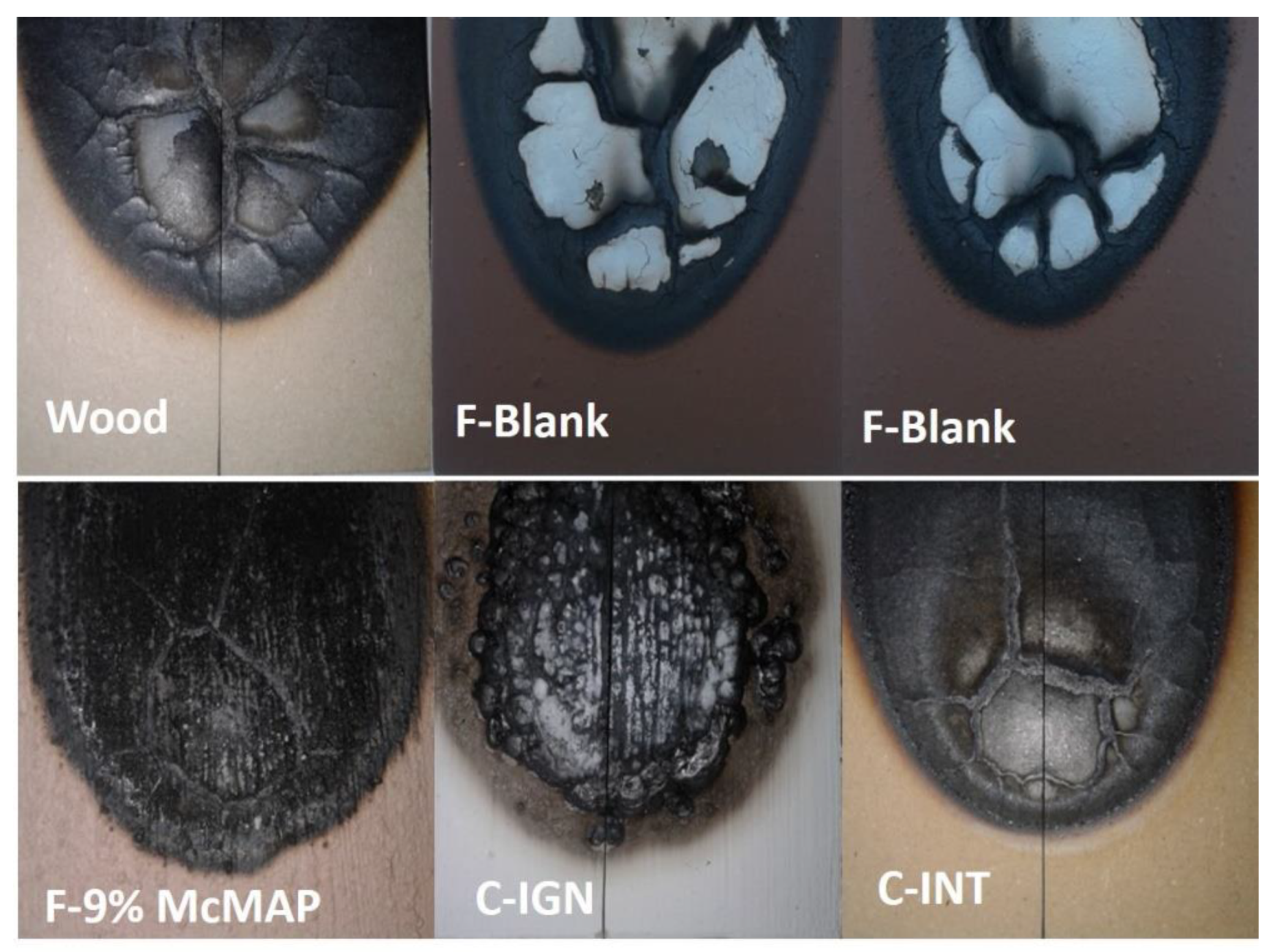Coatings 11 00280 g006 550