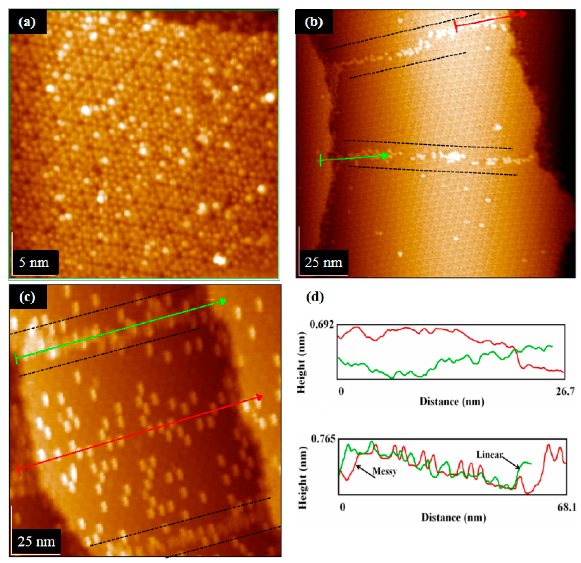 Coatings 11 00281 g004 Coatings 11 00281 g004