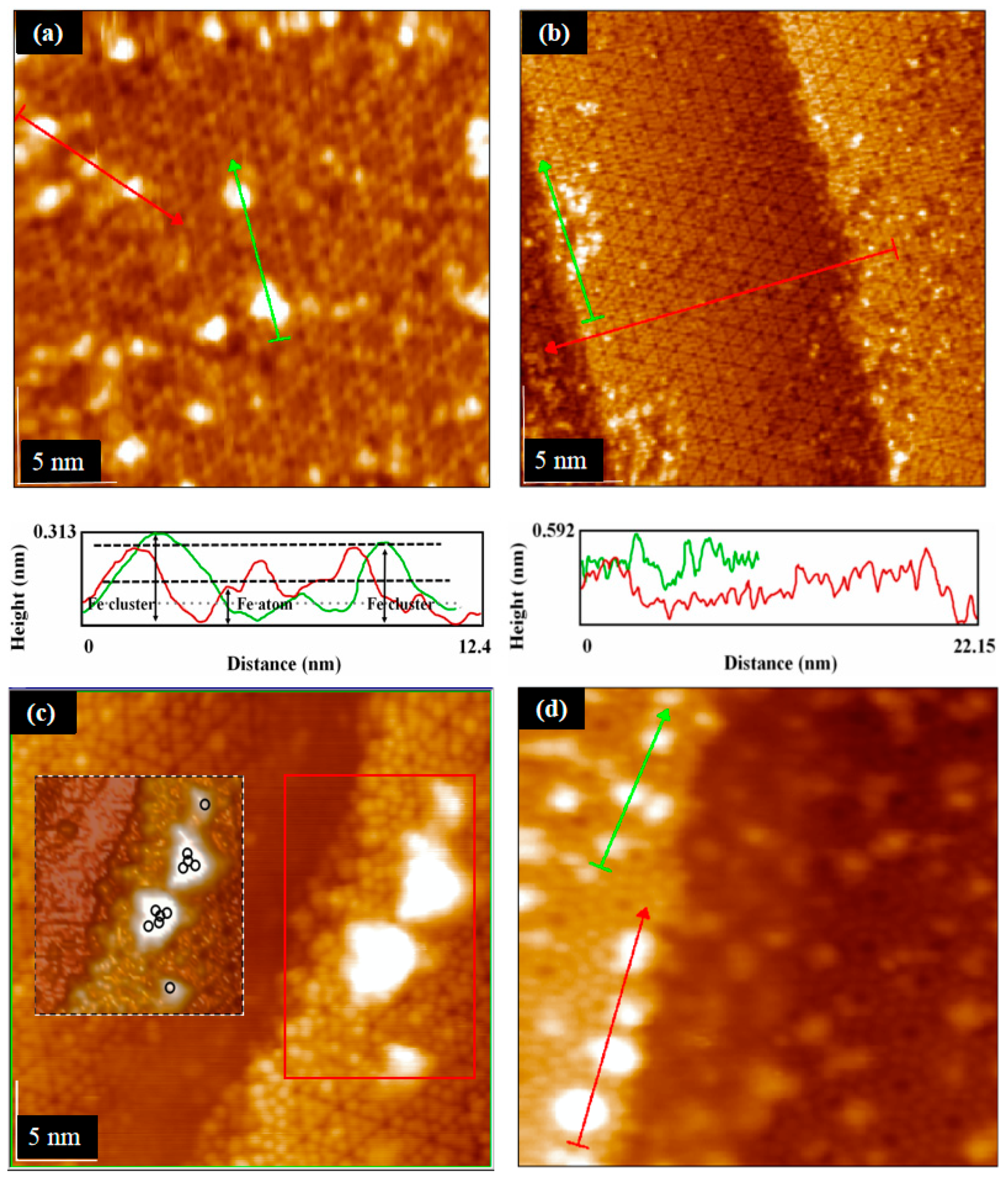 Coatings 11 00281 g005 Coatings 11 00281 g005