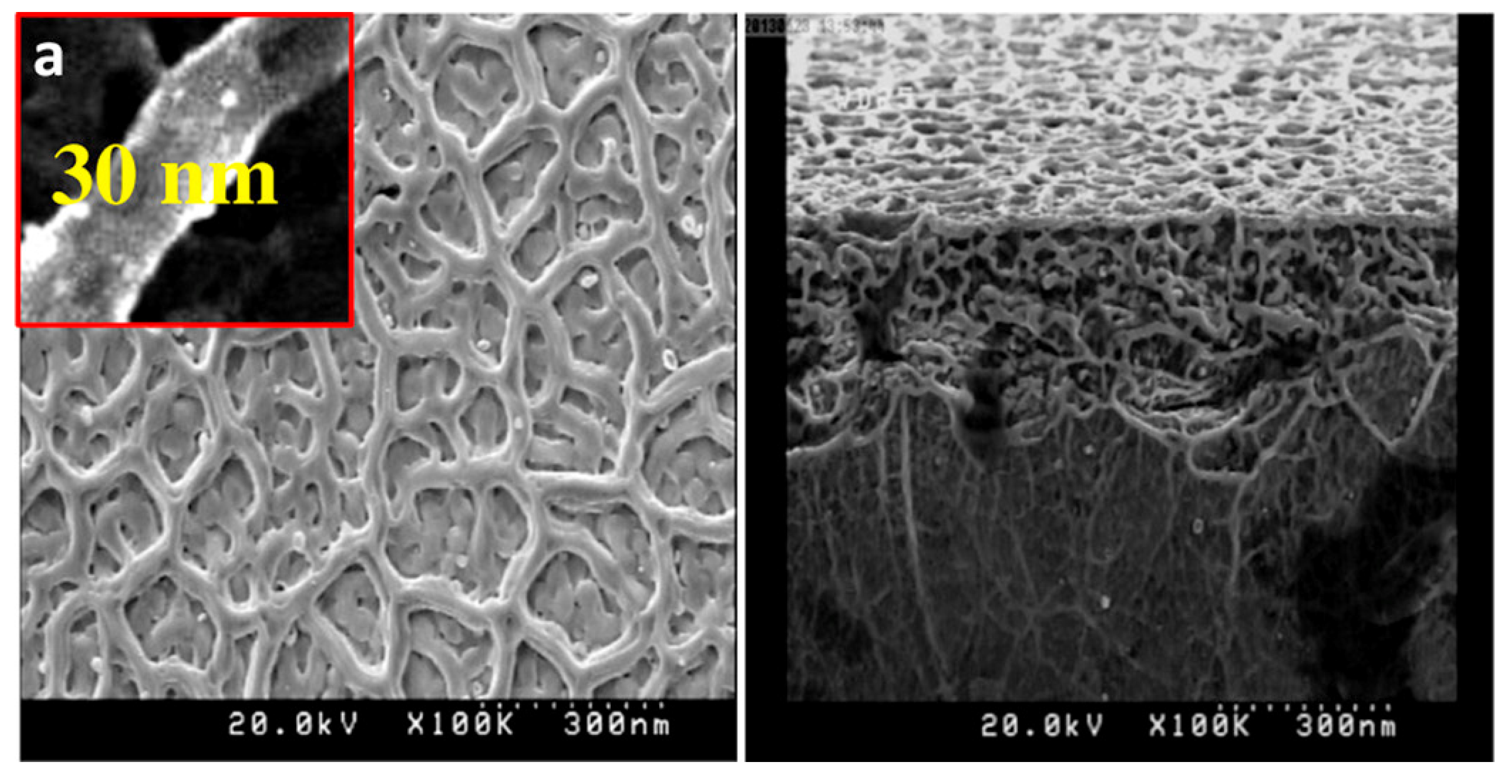 Coatings 11 00284 g003 Coatings 11 00284 g003