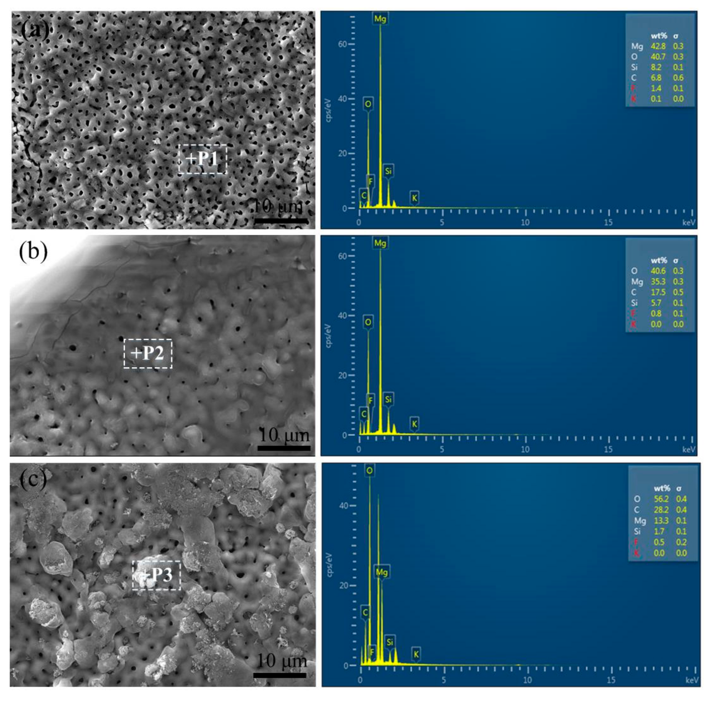 Coatings 11 00288 g003 Coatings 11 00288 g003