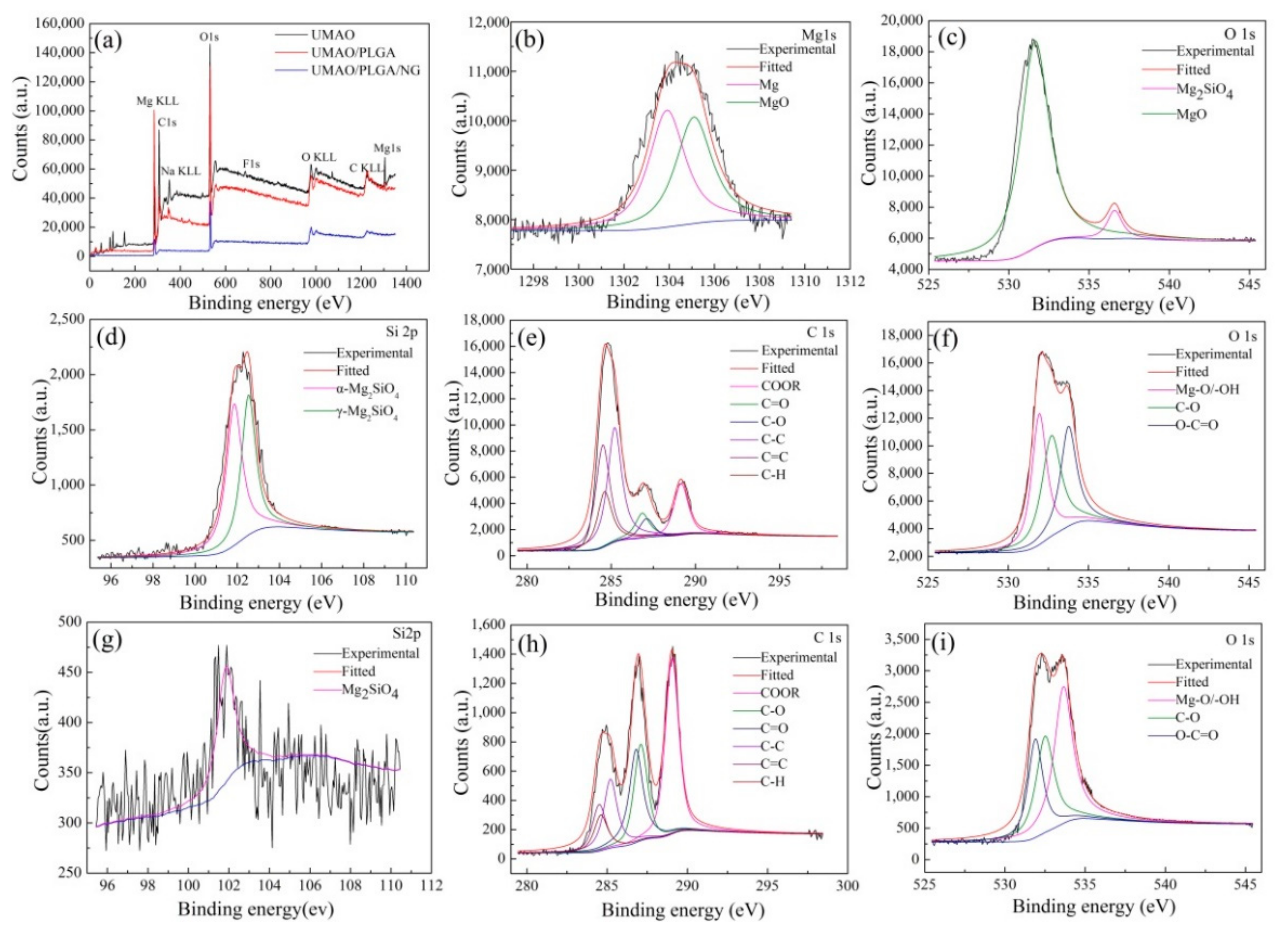 Coatings 11 00288 g004 Coatings 11 00288 g004