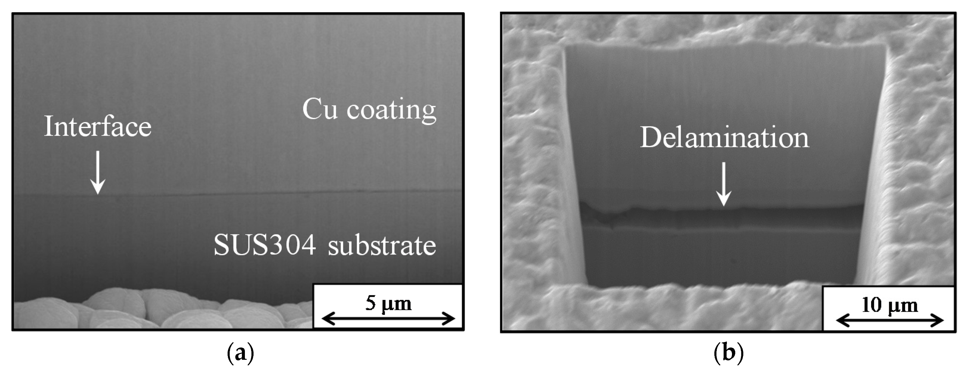Coatings 11 00291 g002