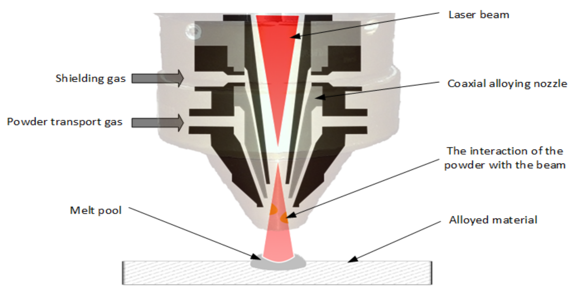 Coatings 11 00292 g002