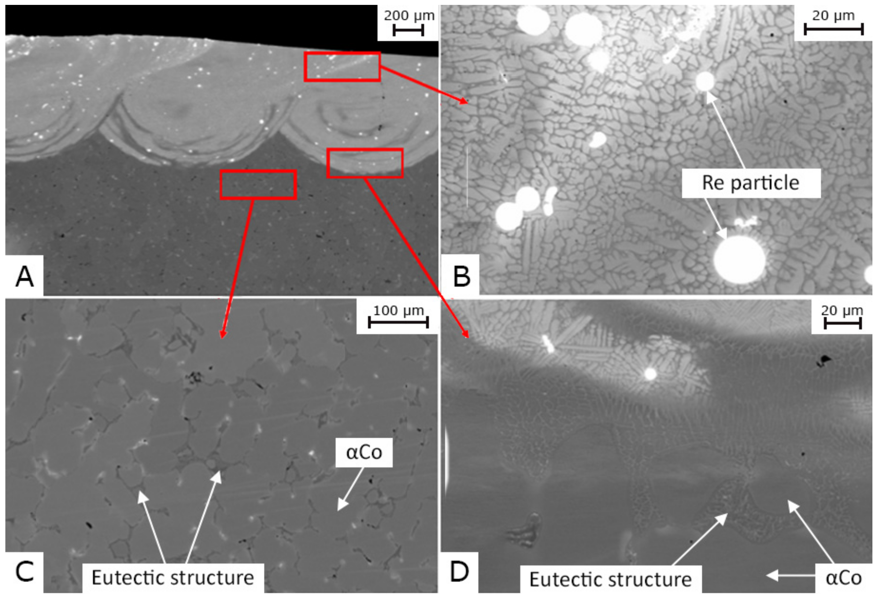 Coatings 11 00292 g007
