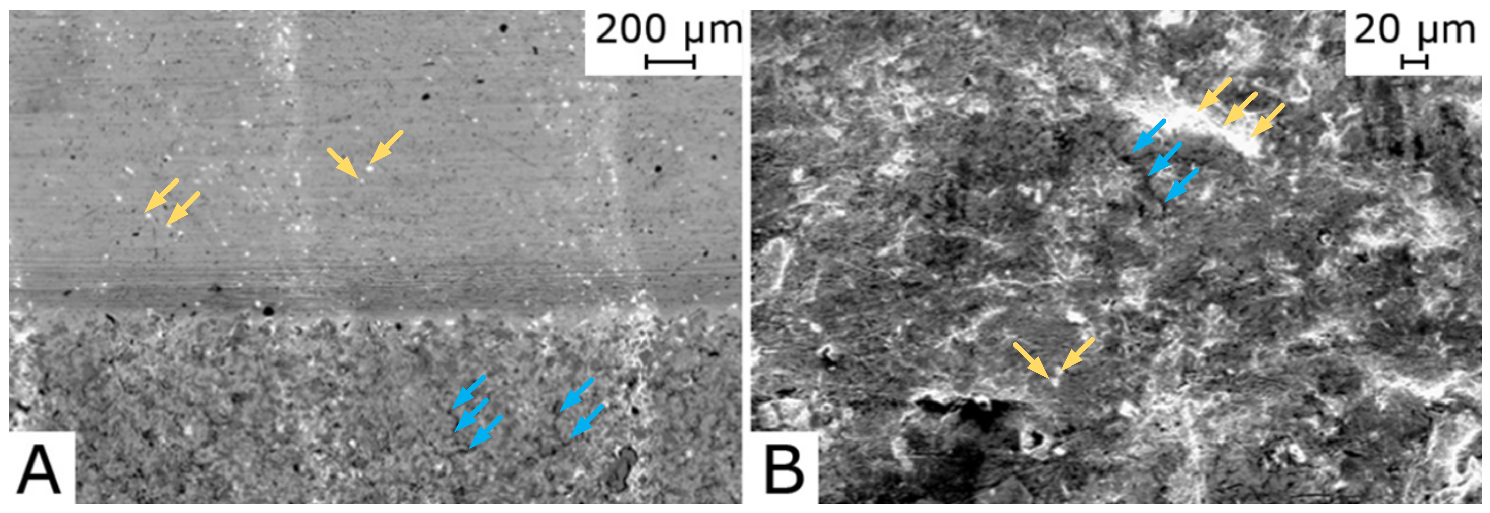 Coatings 11 00292 g009