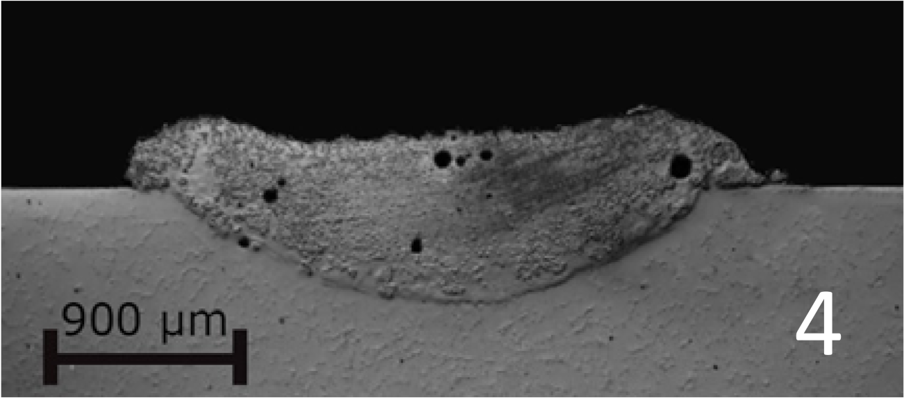 Coatings 11 00292 i004
