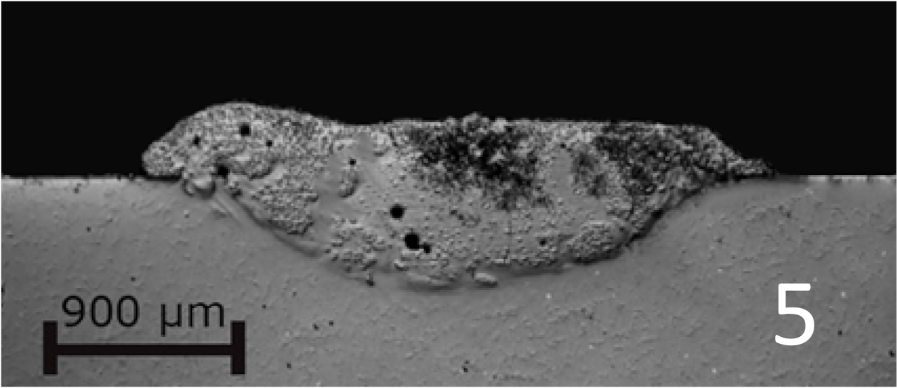 Coatings 11 00292 i005