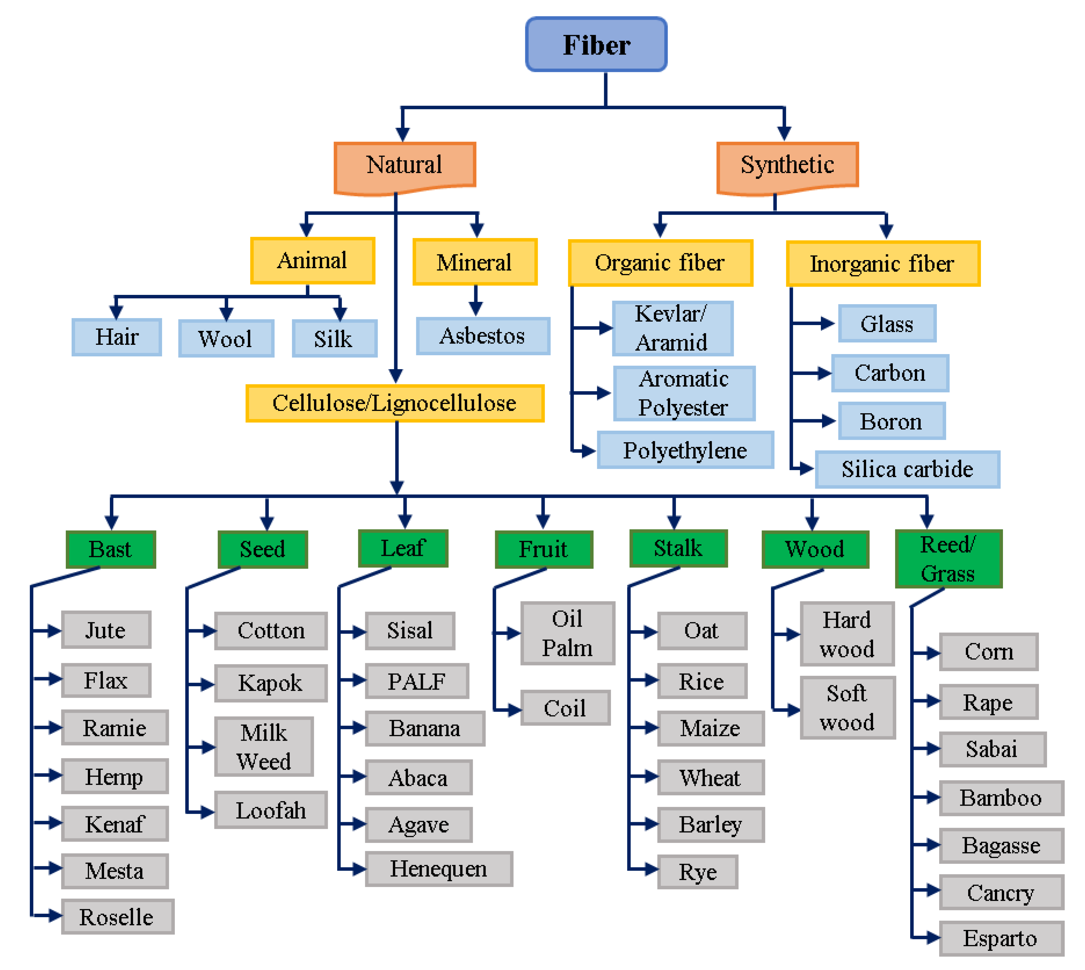 Coatings 11 00293 g001
