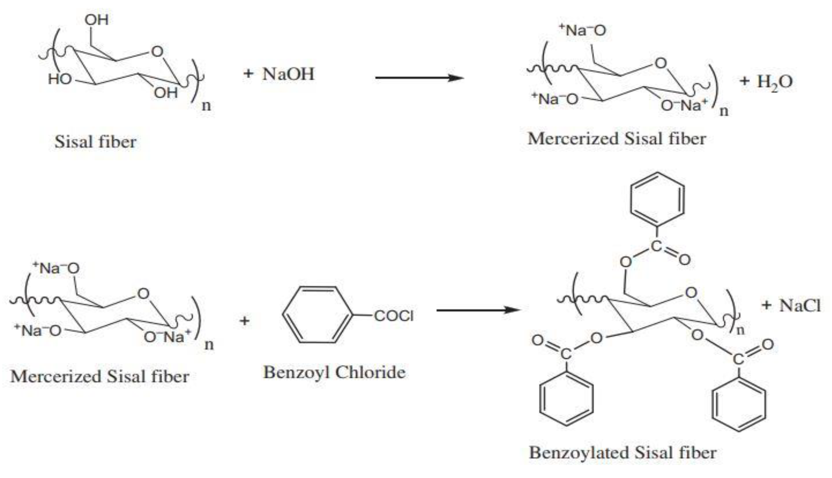 Coatings 11 00293 g003