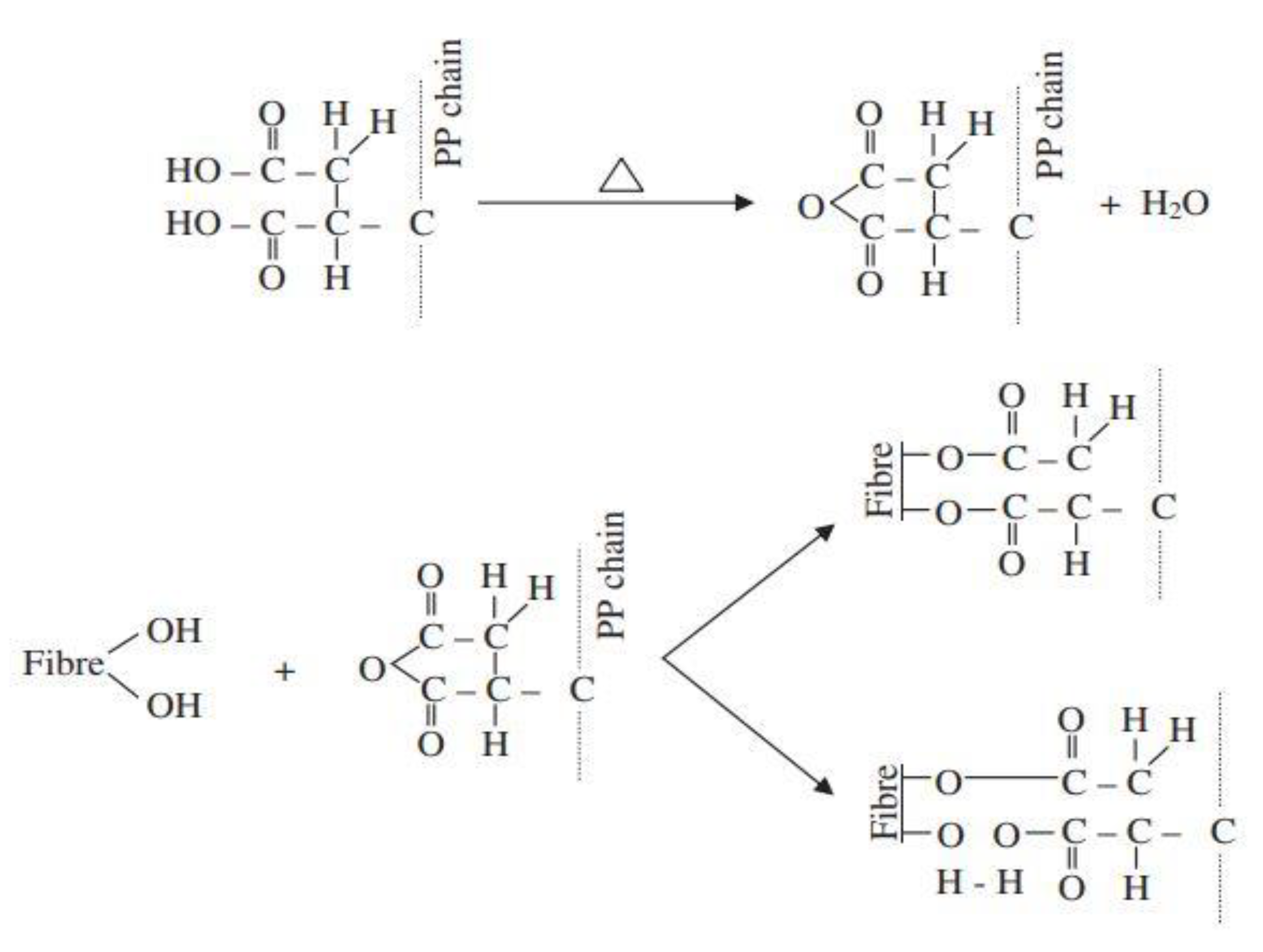 Coatings 11 00293 g004