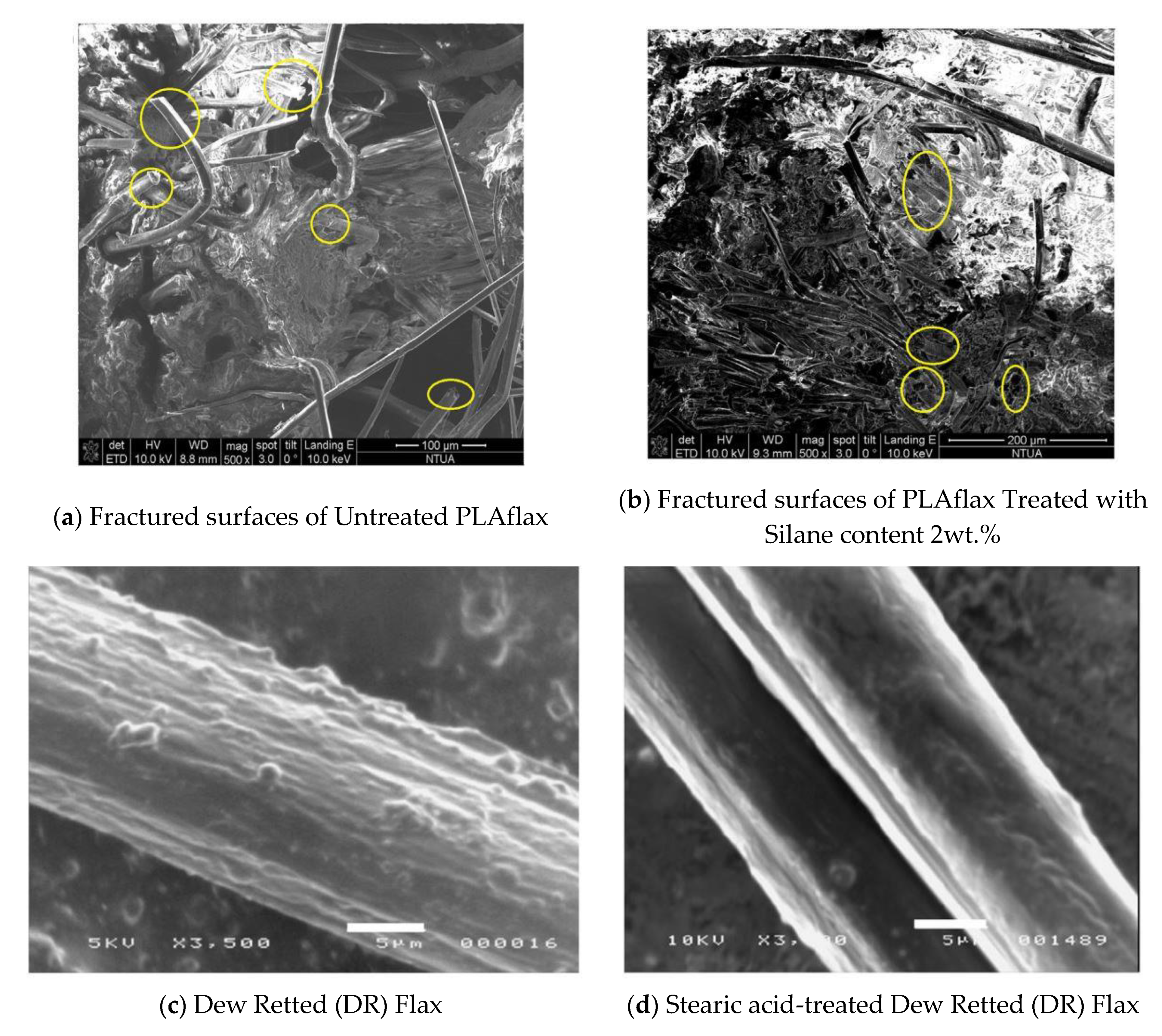 Coatings 11 00293 g005