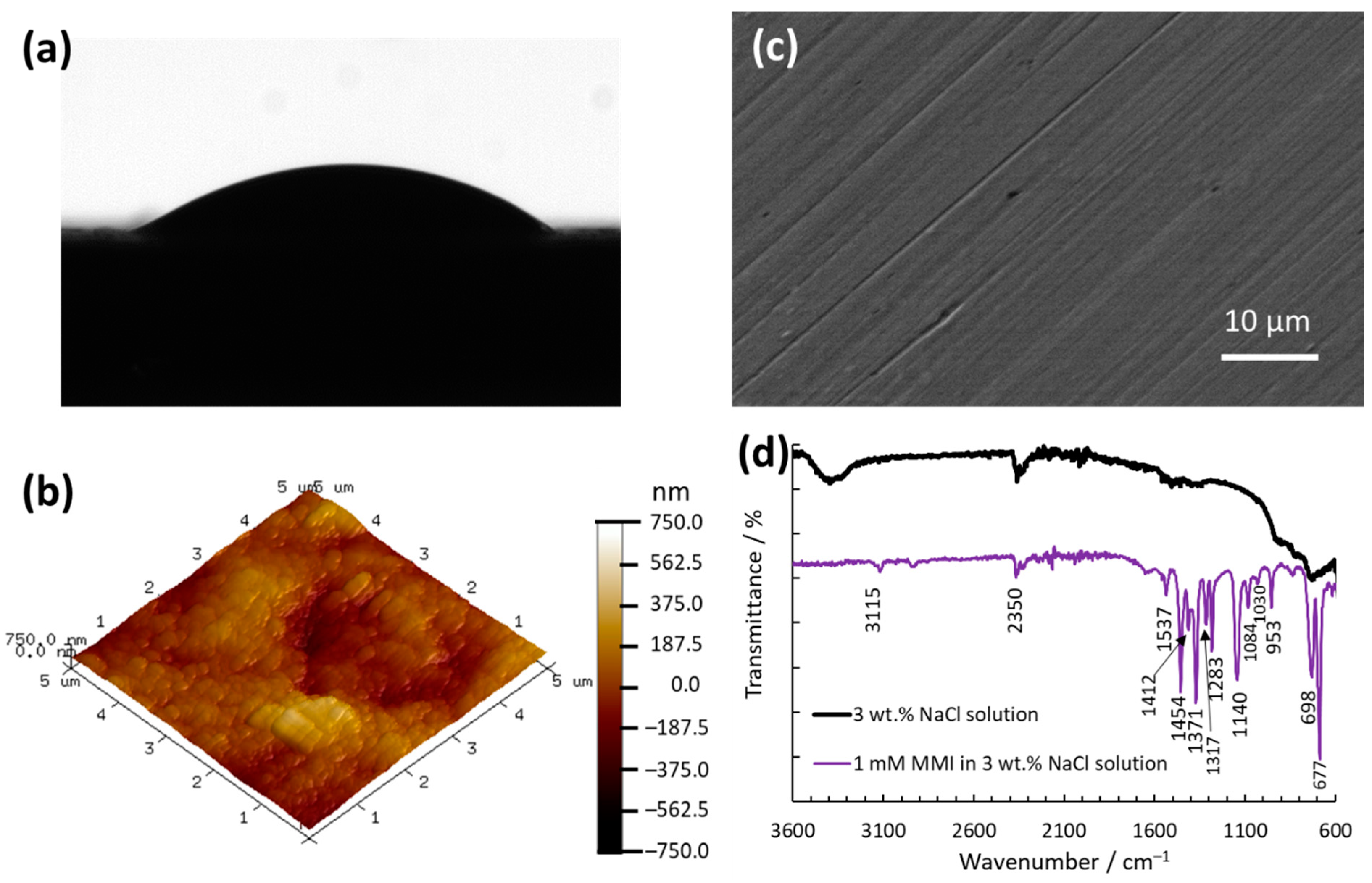 Coatings 11 00295 g003