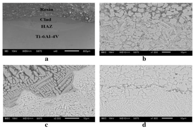 Coatings 11 00296 g005 Coatings 11 00296 g005