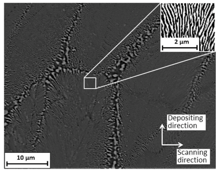 Coatings 11 00296 g007 Coatings 11 00296 g007