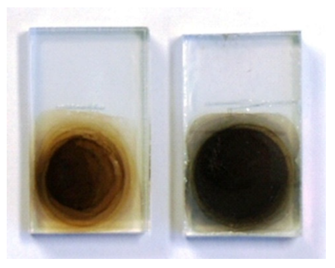 Coatings 11 00297 g003 Coatings 11 00297 g003