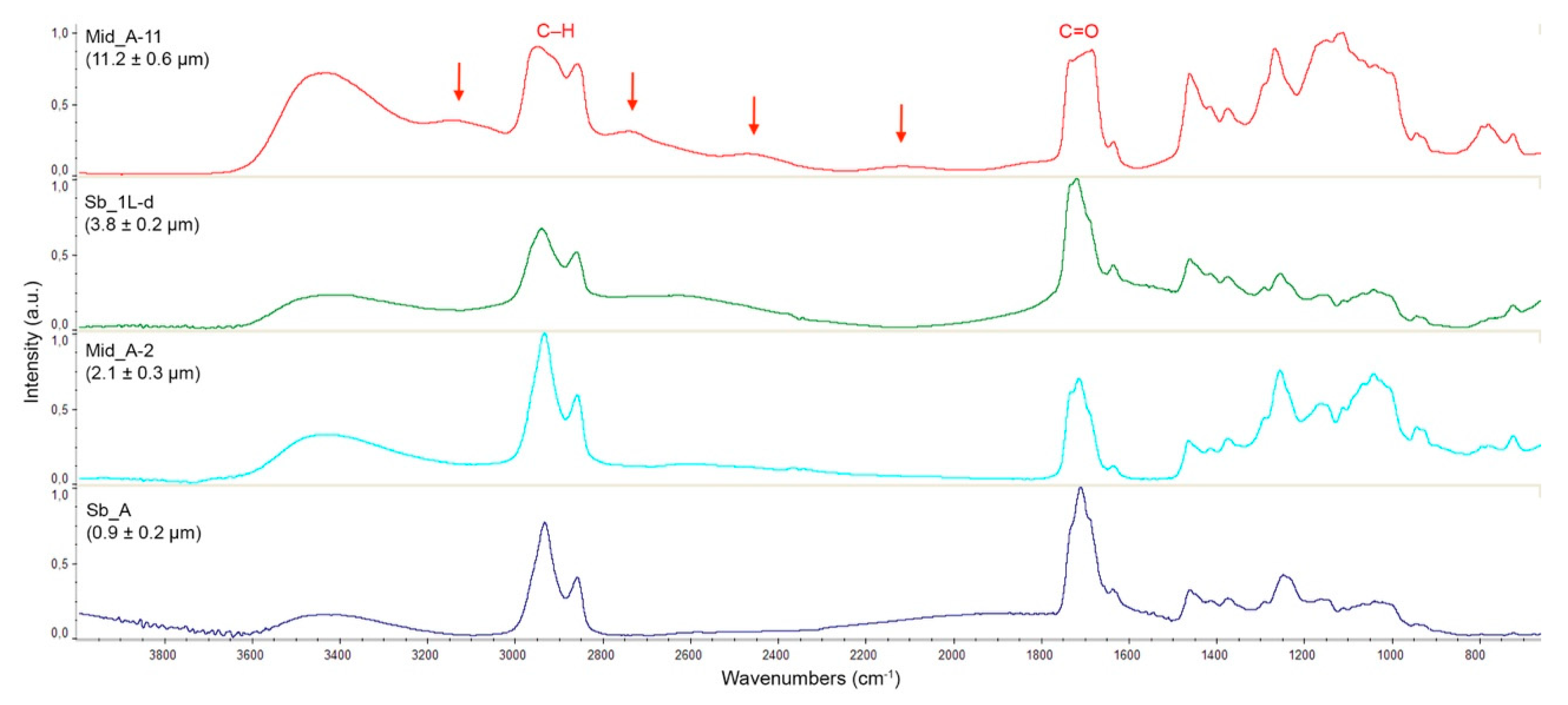 Coatings 11 00298 g011