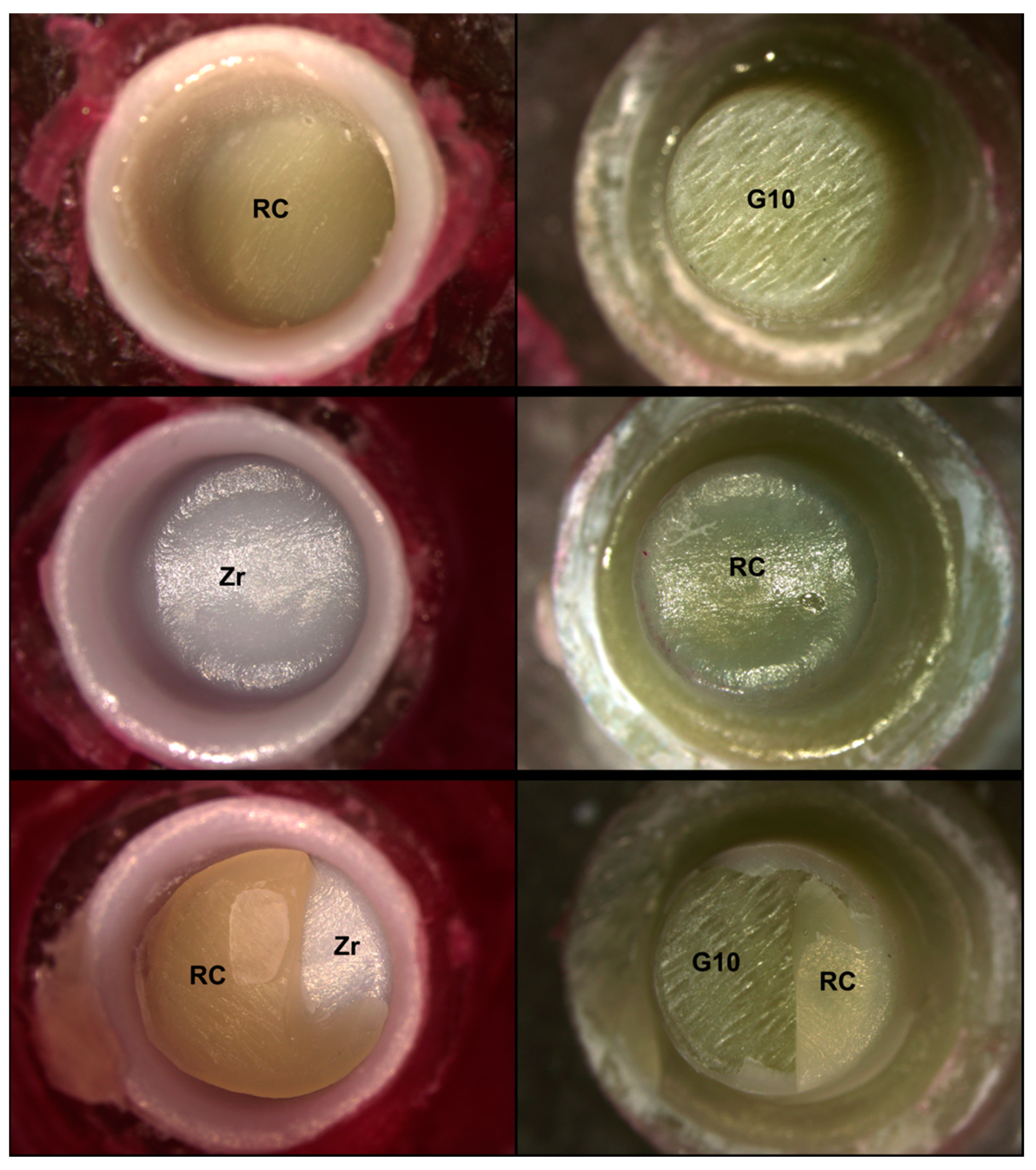 Coatings 11 00315 g004